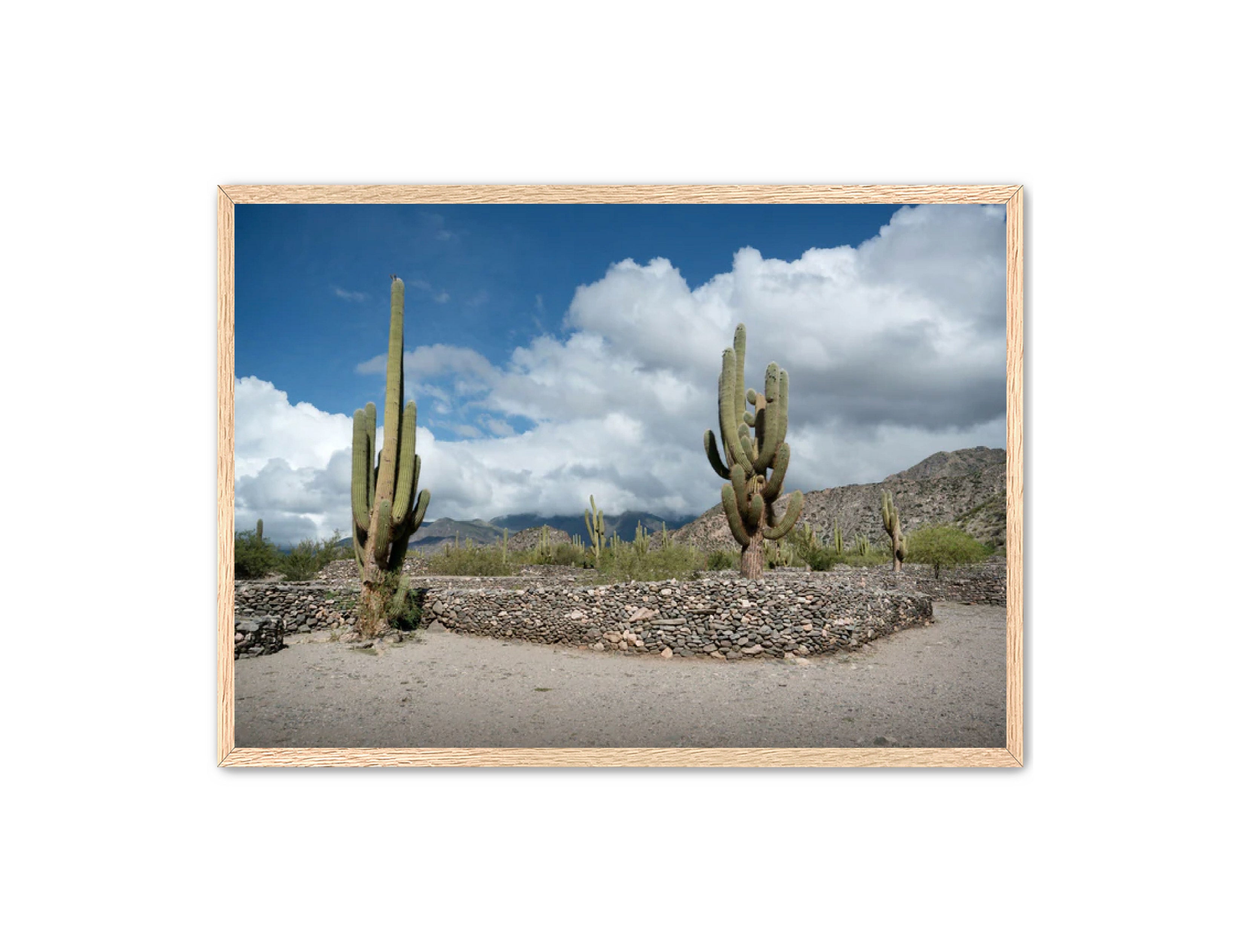 Landscape Photography Prints 'Cactus on the way' Aline Karagozlu