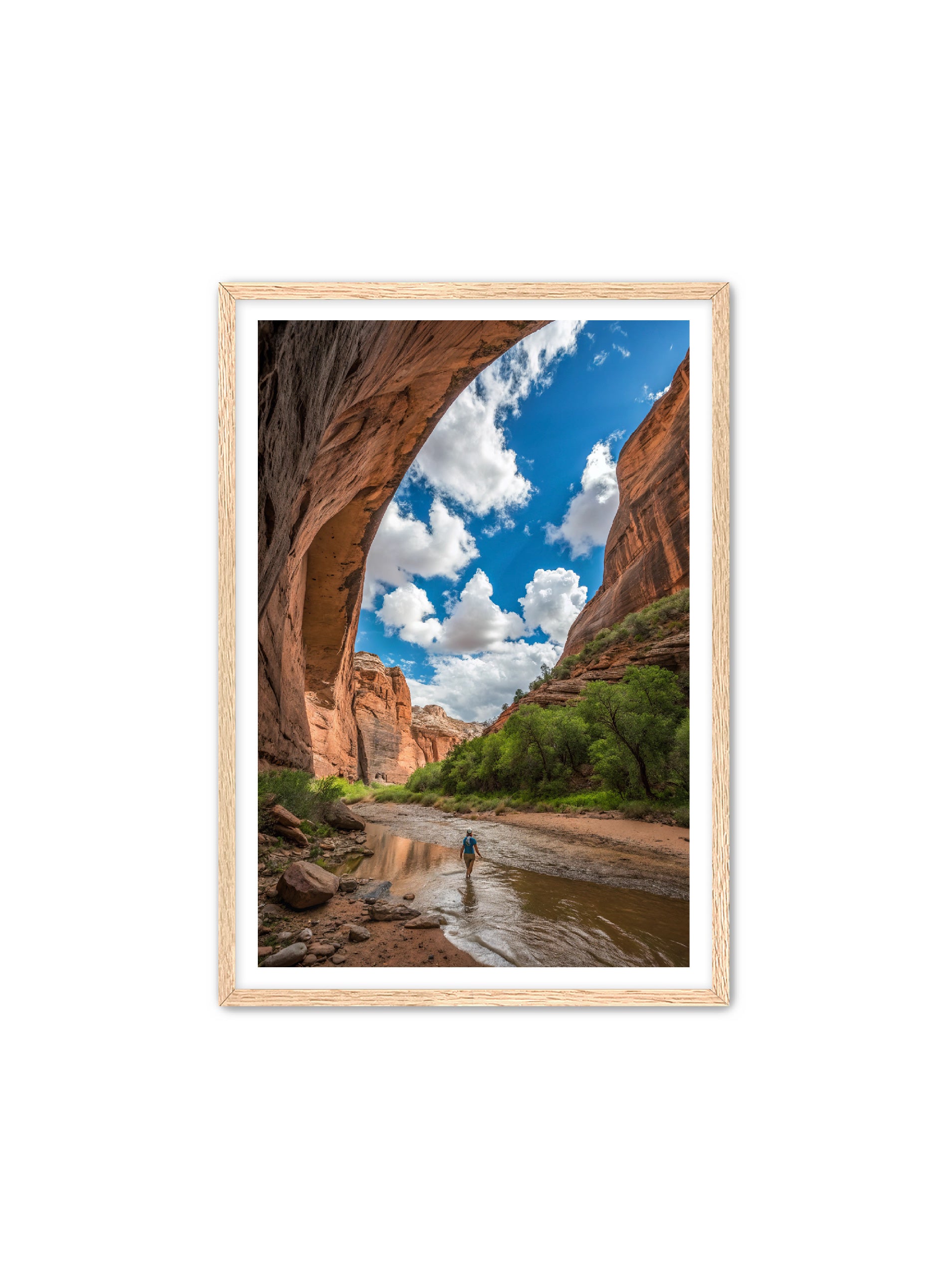 Apricus Prints 'Arches Creek' Apricus Art Collection