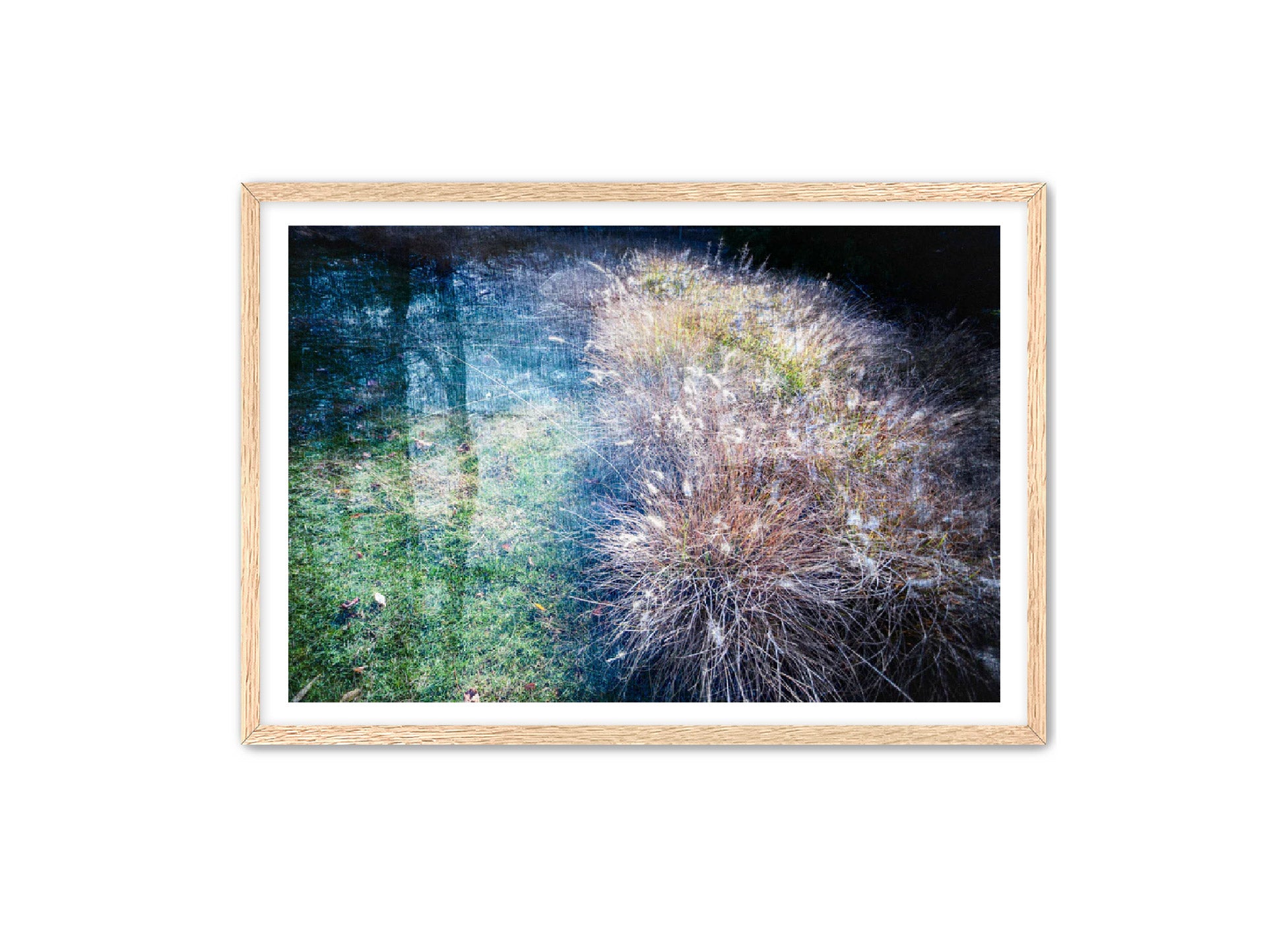 PhotoArt Prints 'GRASSES' Danielle Neumann Kelly