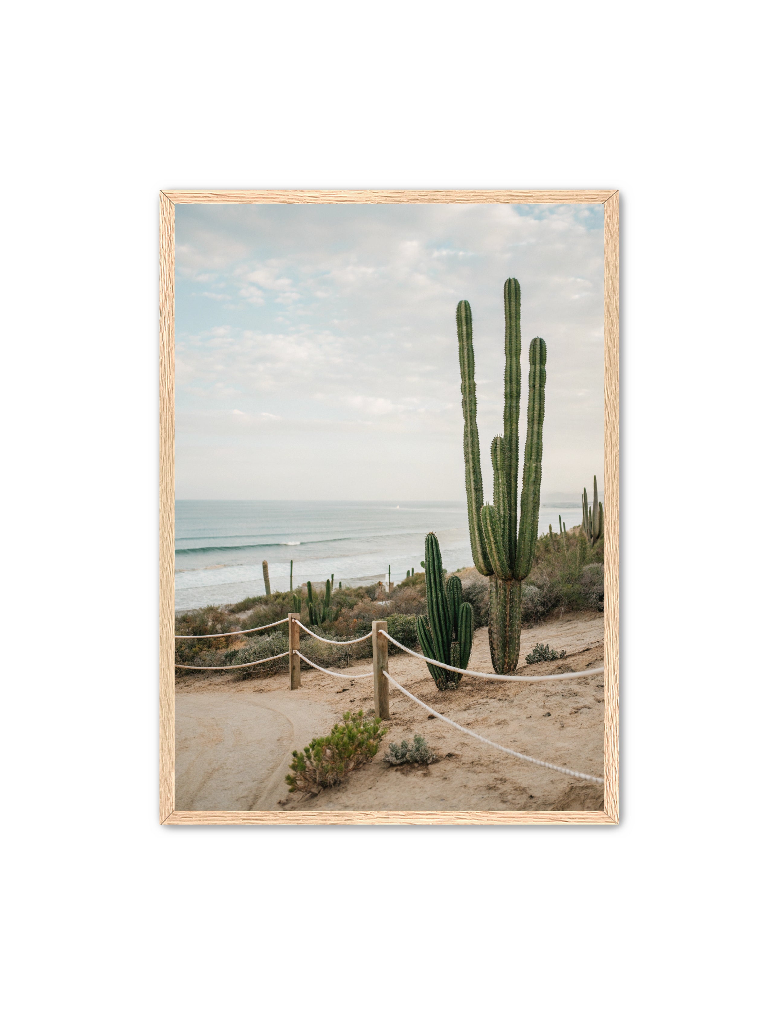 Apricus Prints Beaches 'SoCal' Apricus Art Collection