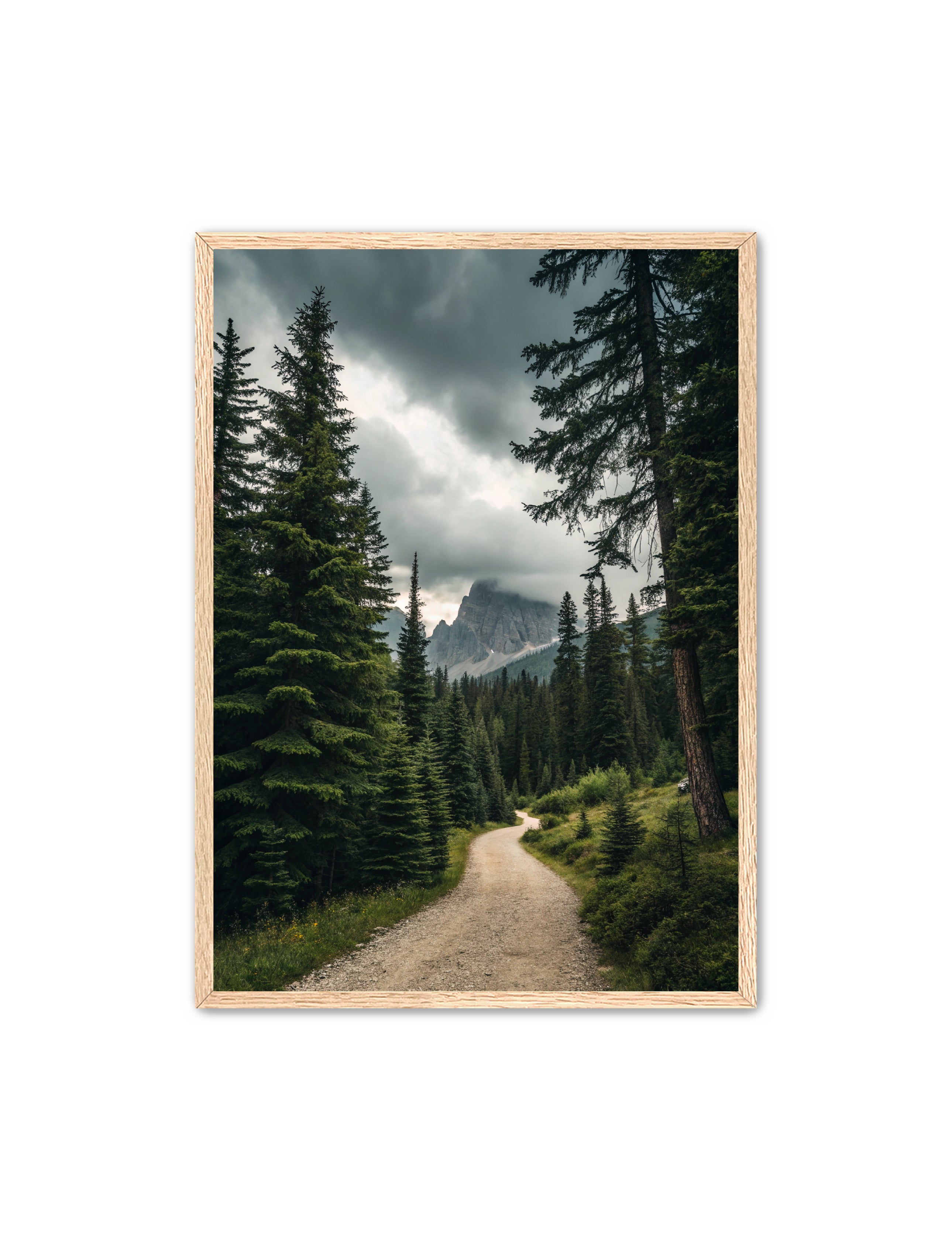 Apricus Prints 'Path to the Peaks' Apricus Art Collection