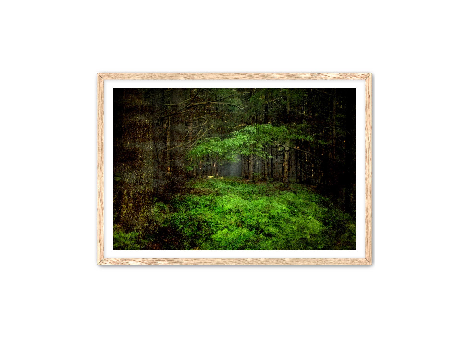 PhotoArt Prints 'TEXTURED TREES 3' Danielle Neumann Kelly