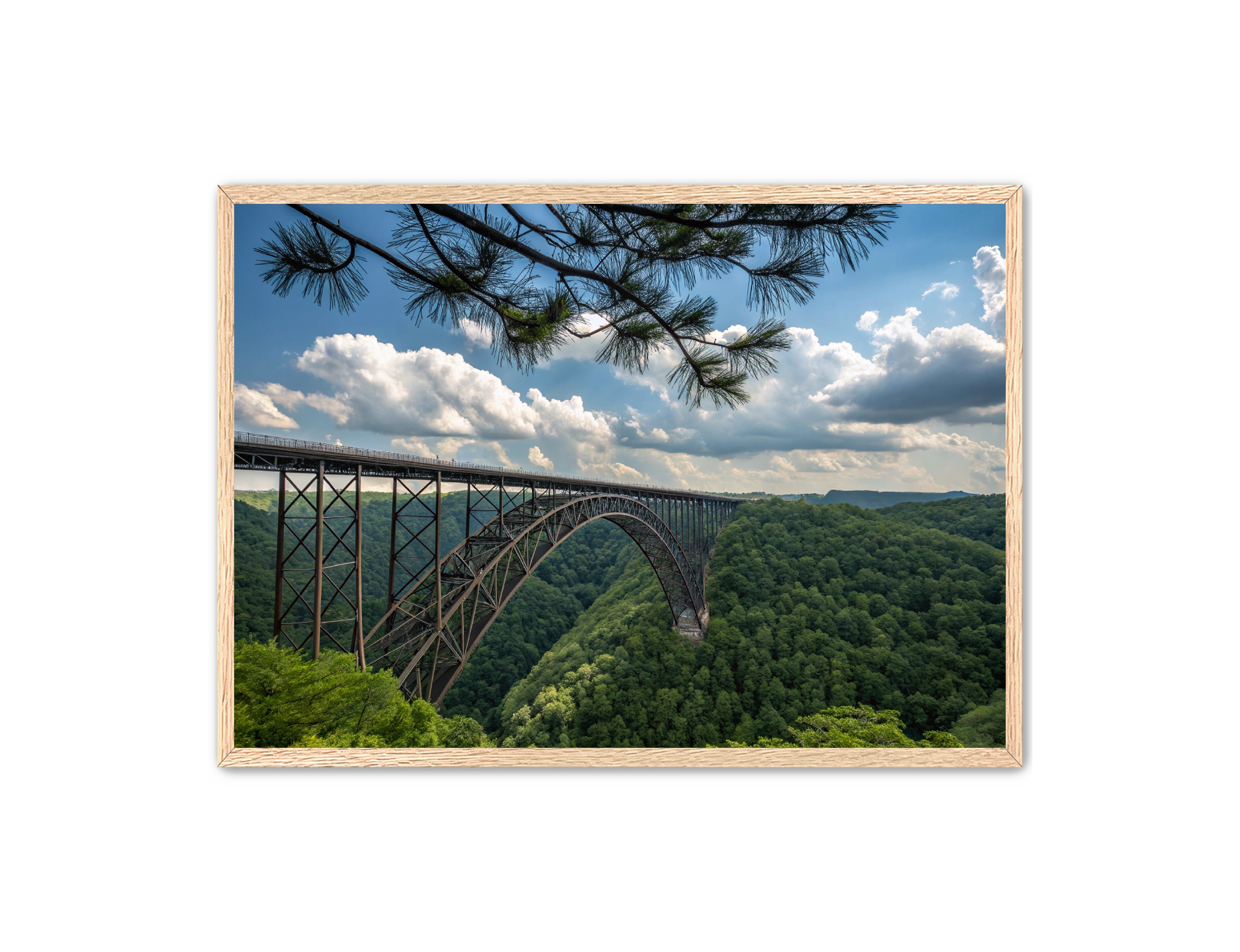 Apricus Prints 'Wild & Wonderful, West Virginia' Apricus Art Collection