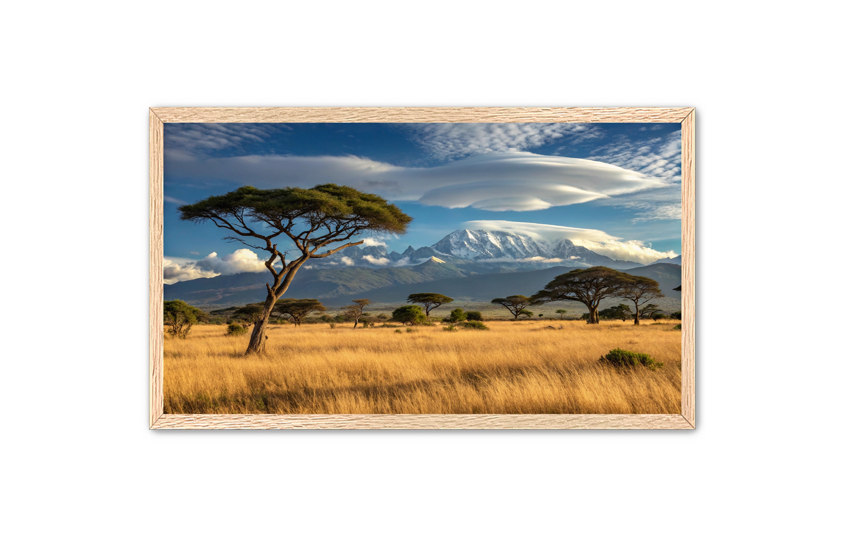 Apricus Prints 'Safari Layers' Apricus Art Collection