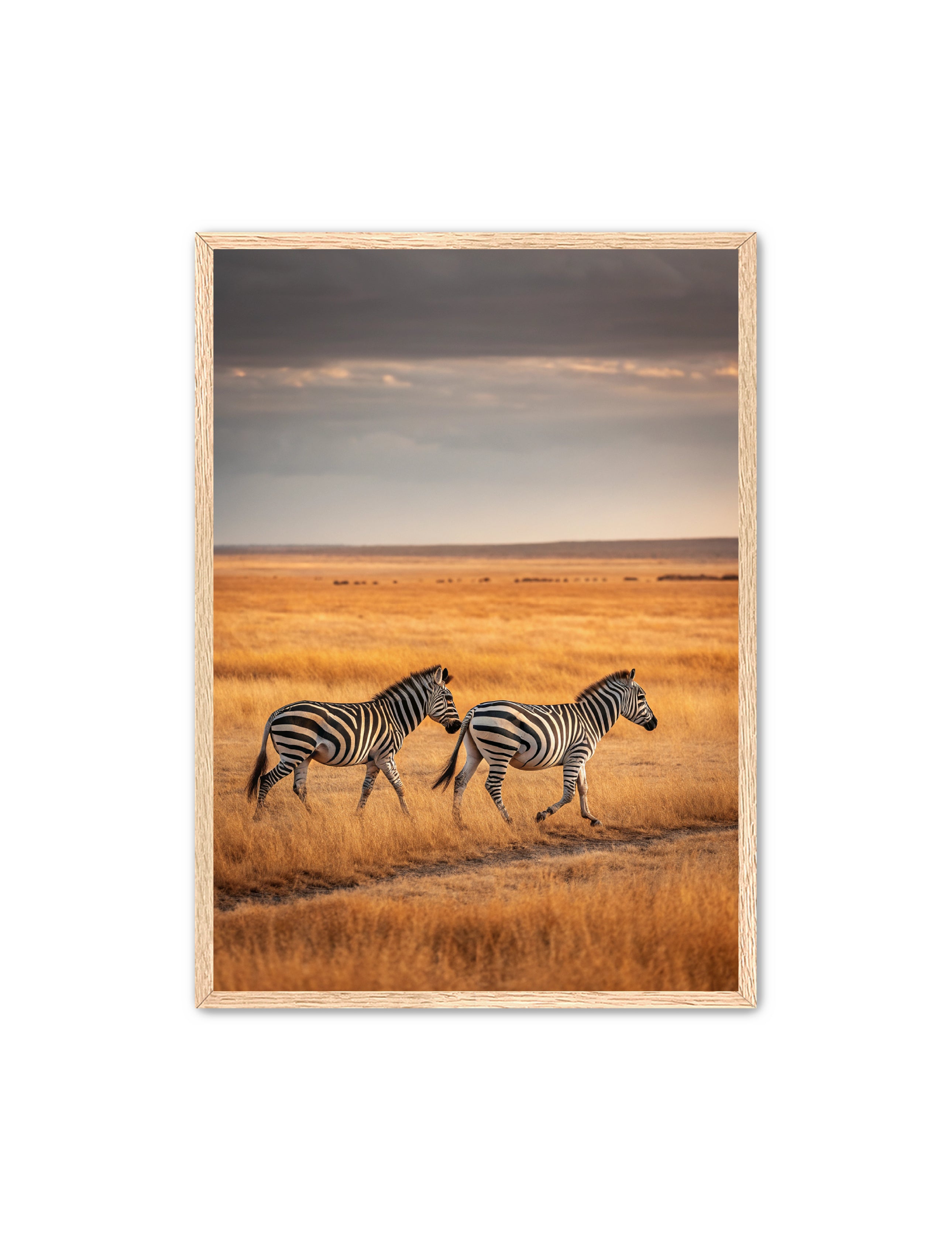 Apricus Prints 'Dynamic Duo' Apricus Art Collection