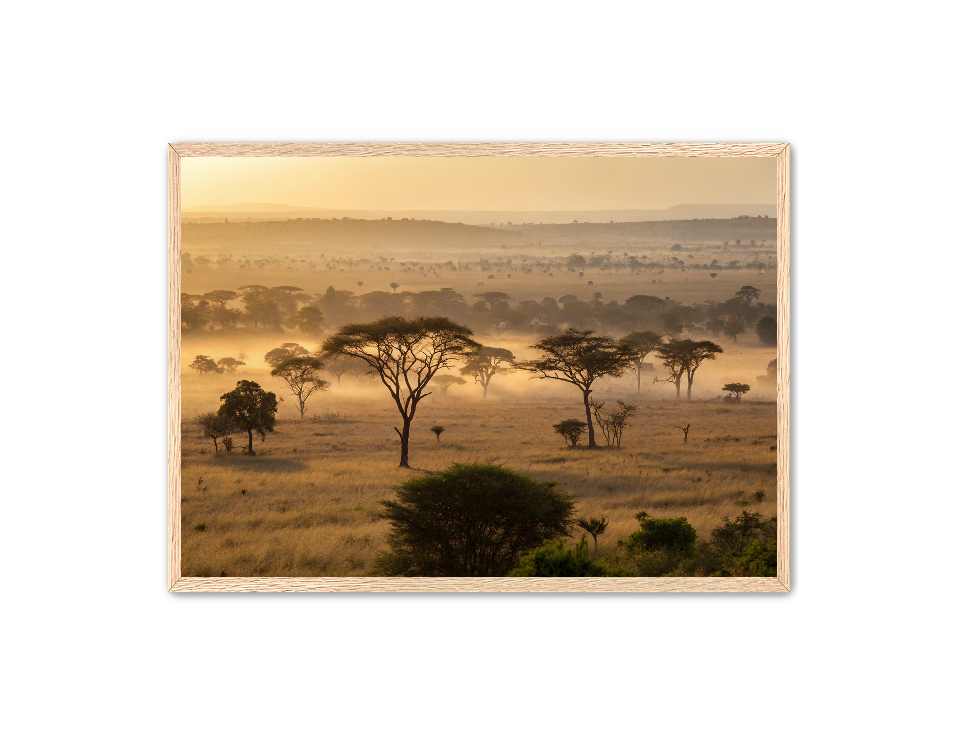 Apricus Prints 'Sunrise on the Serengeti' Apricus Art Collection