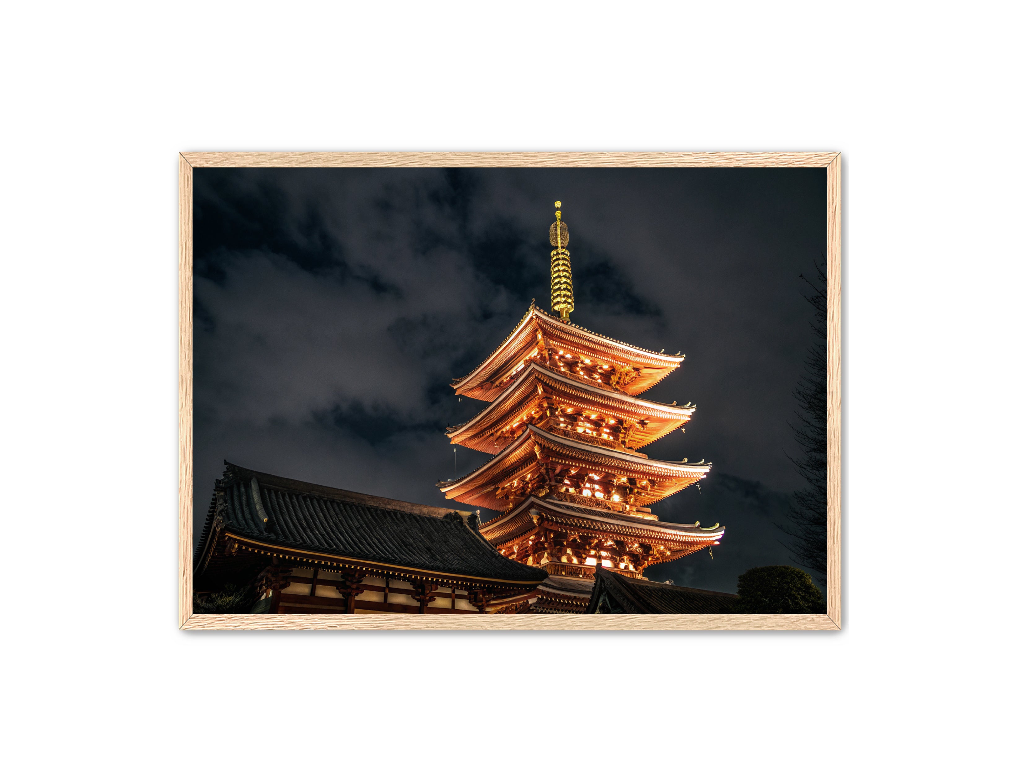 Apricus Prints 'Temple Glow' Apricus Art Collection