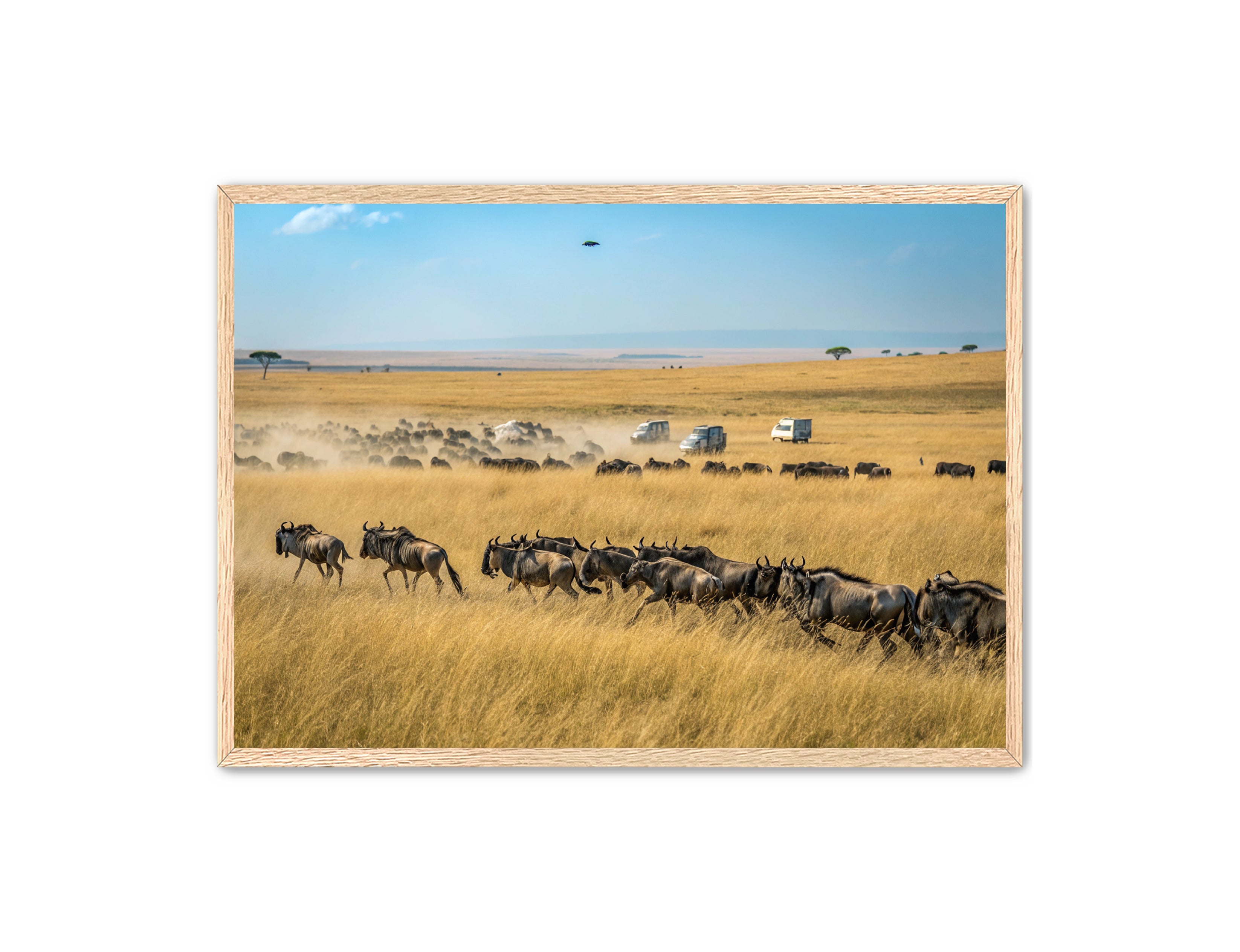 Apricus Prints 'Serengeti Stampede' Apricus Art Collection