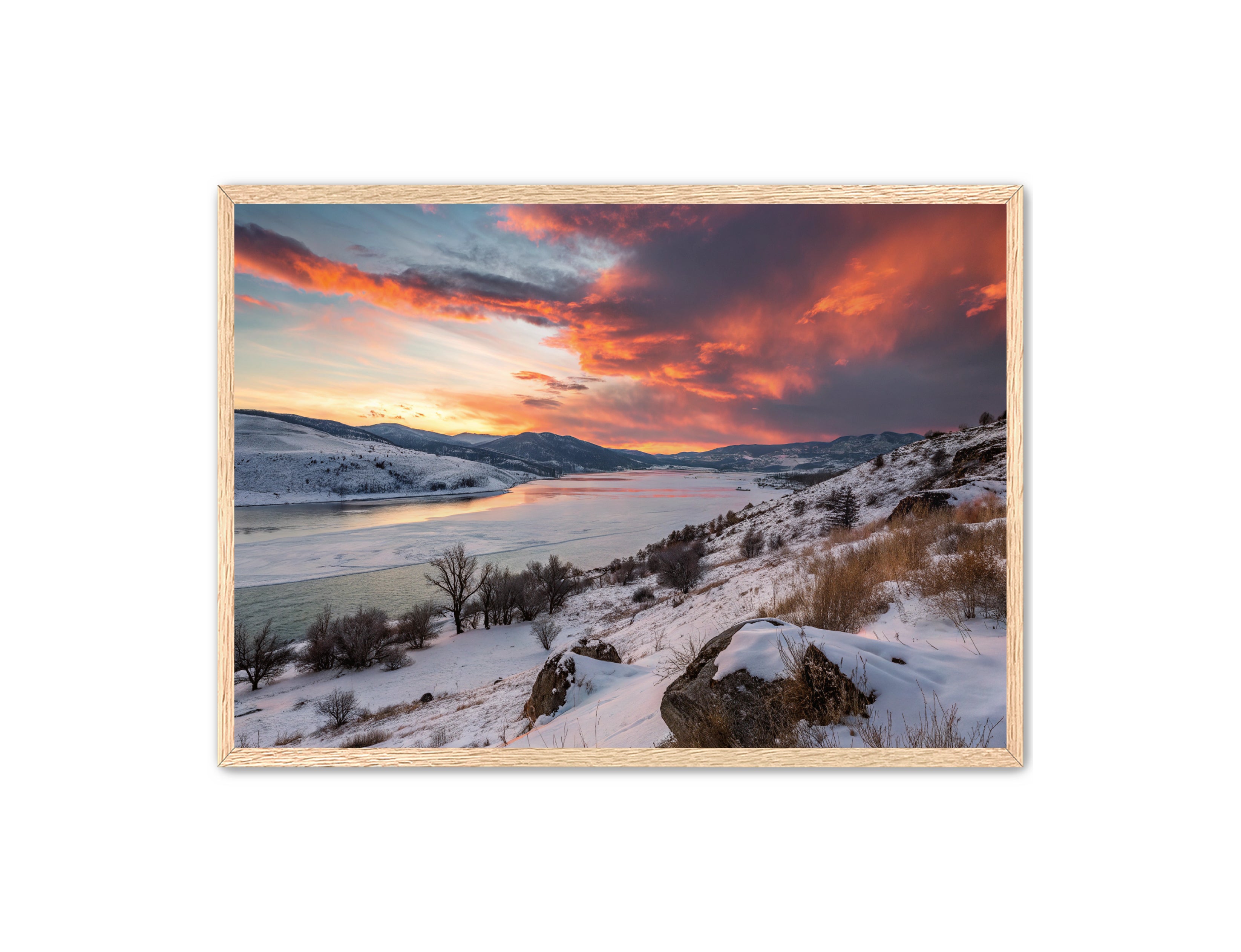 Apricus Prints 'Winter Reds' Apricus Art Collection