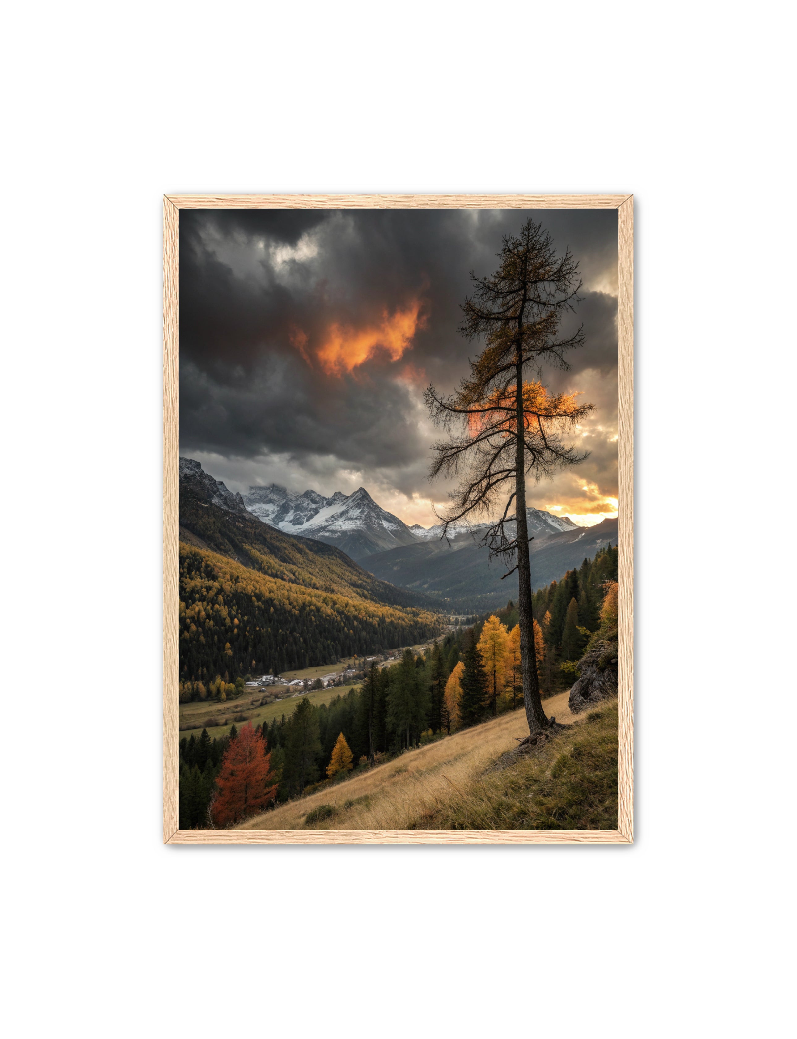 Apricus Prints 'San Juan Fall' Apricus Art Collection