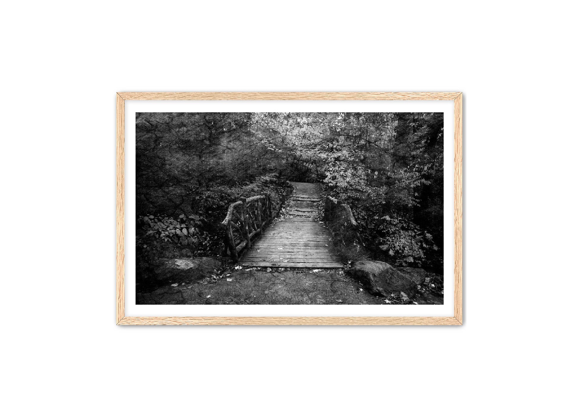 PhotoArt Prints 'PARK PATH' Danielle Neumann Kelly