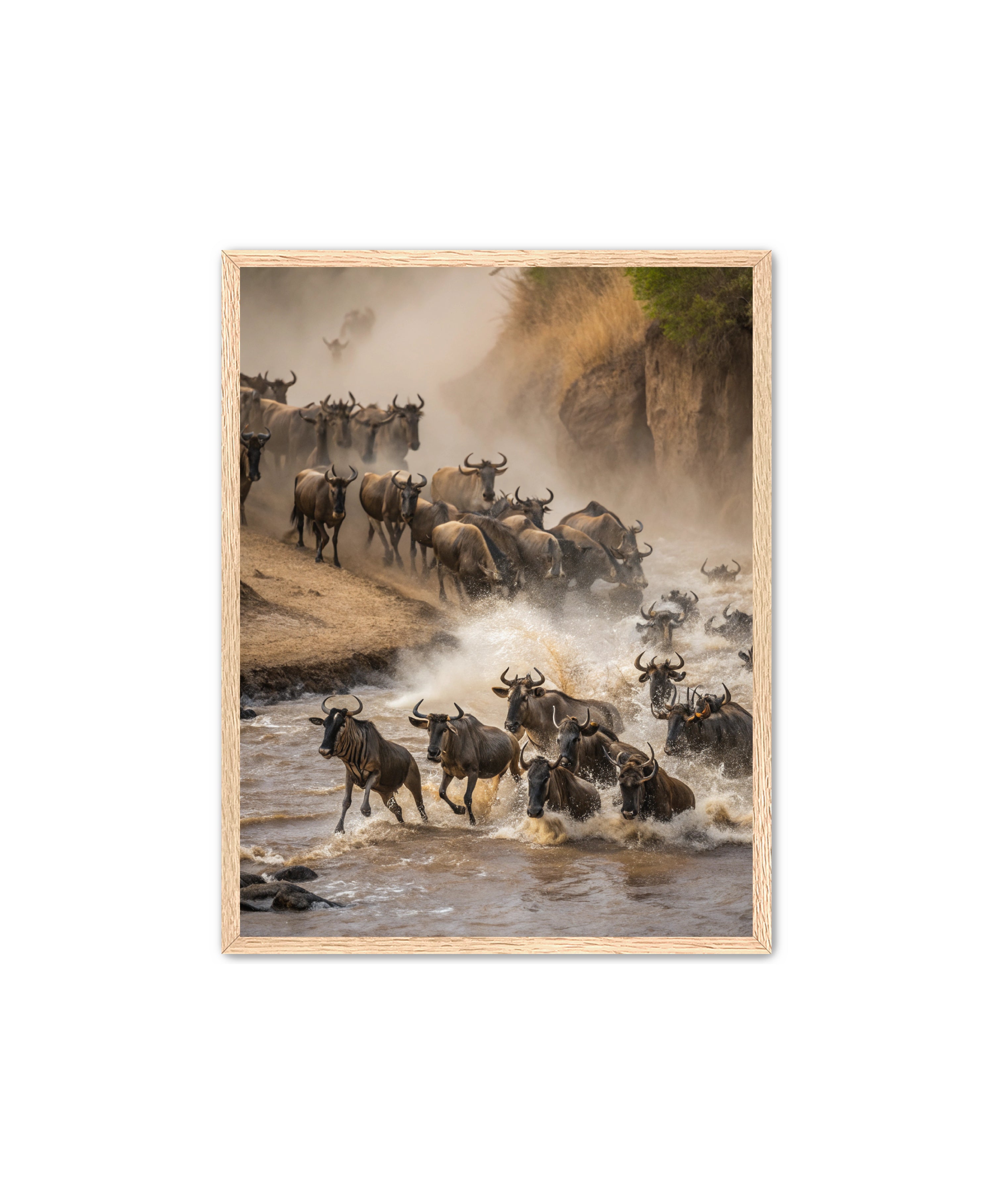 Apricus Prints 'Stampede Crossing' Apricus Art Collection