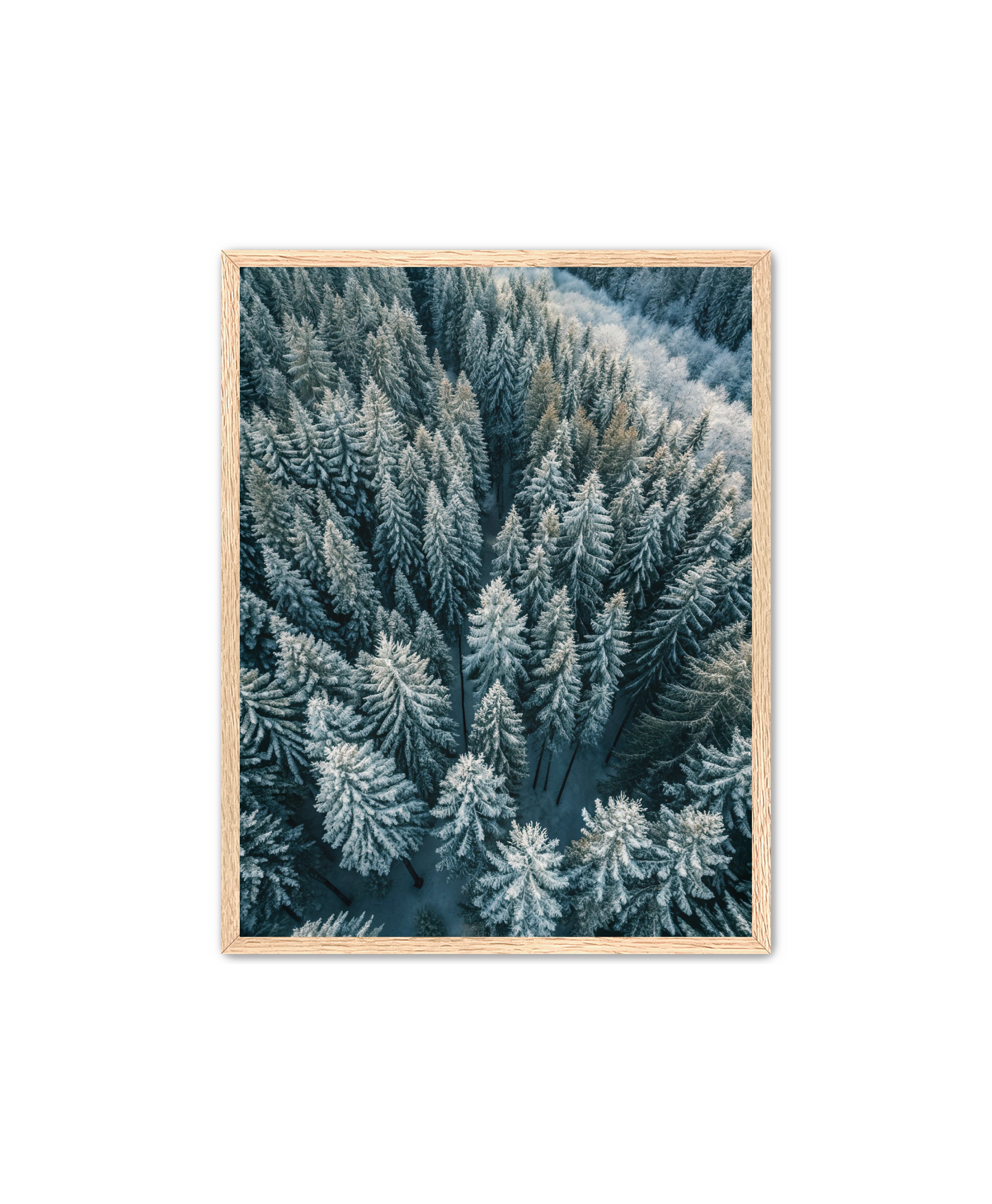 Apricus Prints Nature 'Winter Veins' Apricus Art Collection