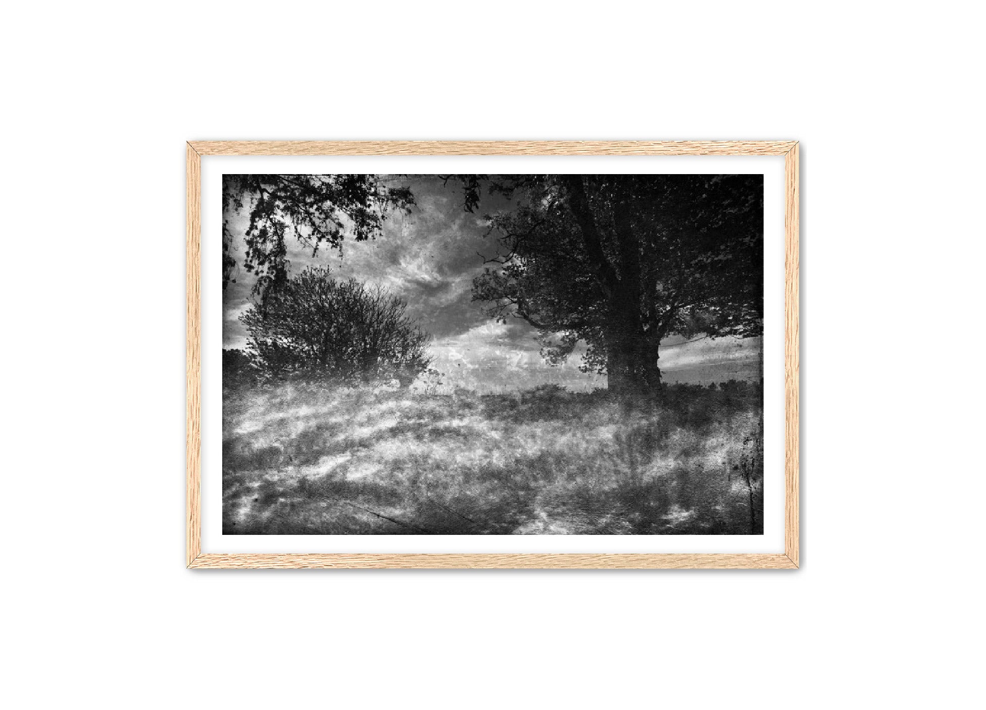 PhotoArt Prints 'CLOUDS IN TREES' Danielle Neumann Kelly