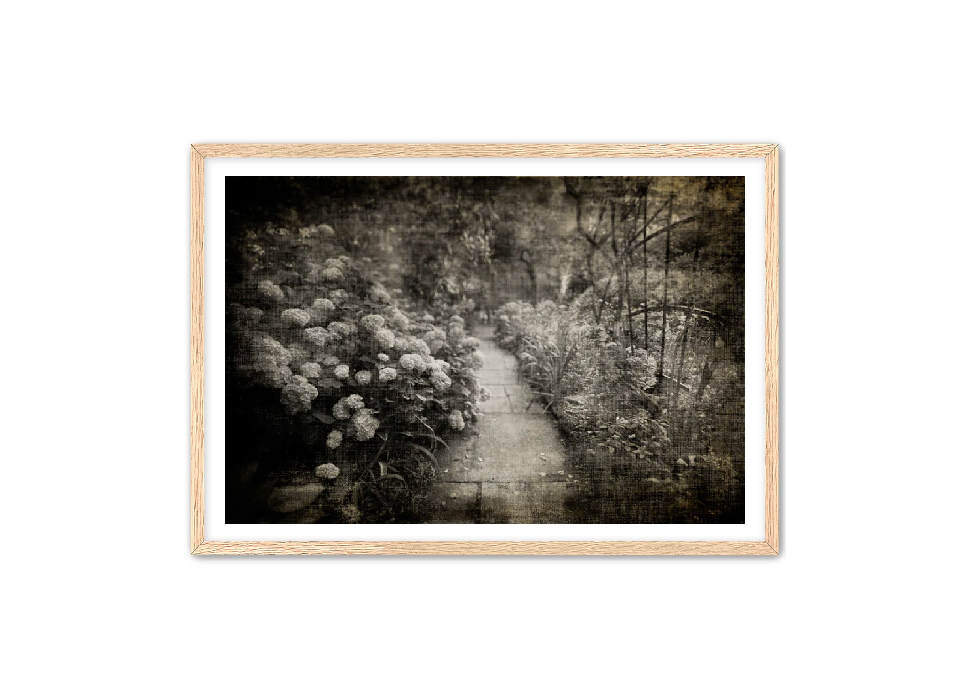 PhotoArt Prints 'PARK PATH 2' Danielle Neumann Kelly