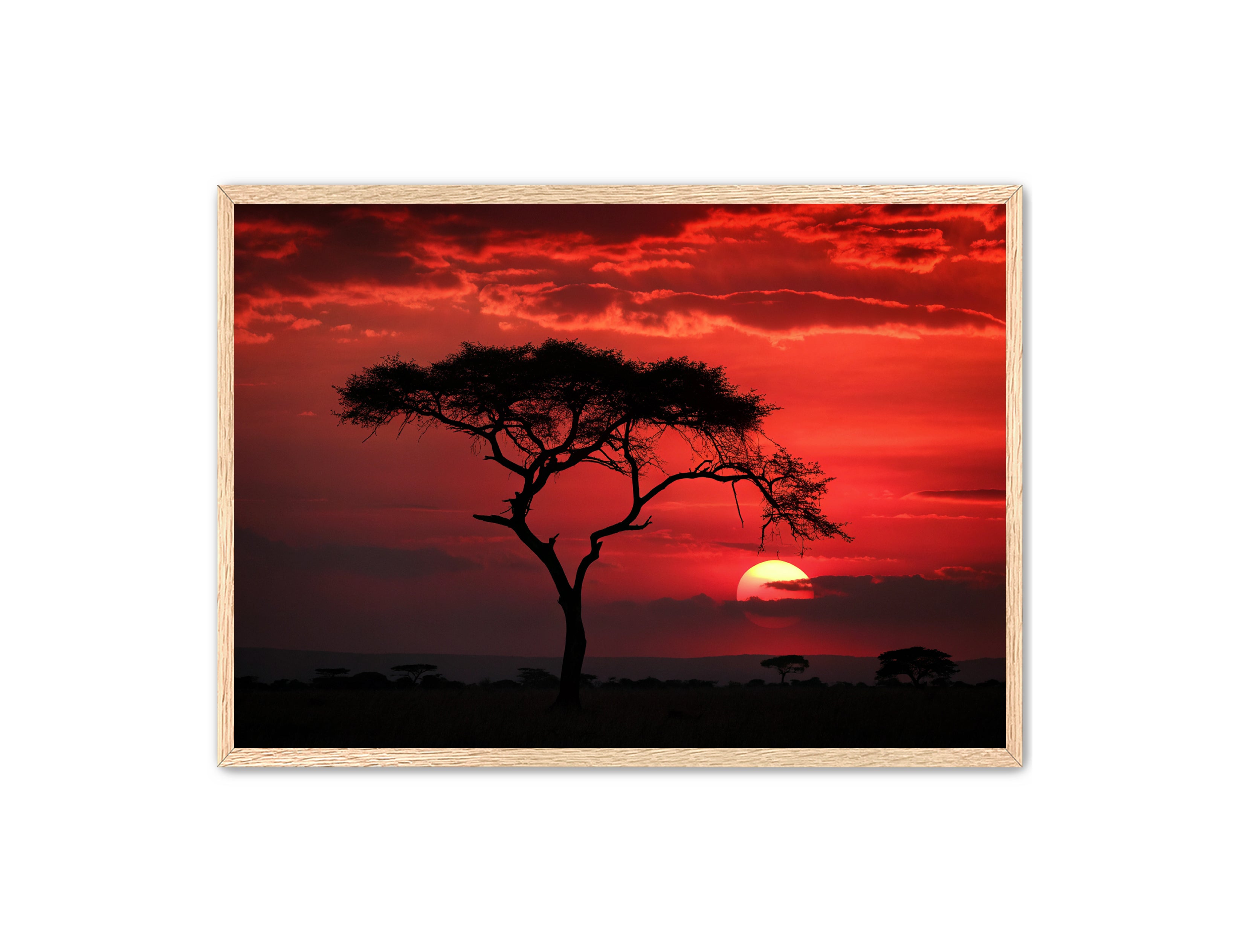 Apricus Prints 'Red Night' Apricus Art Collection