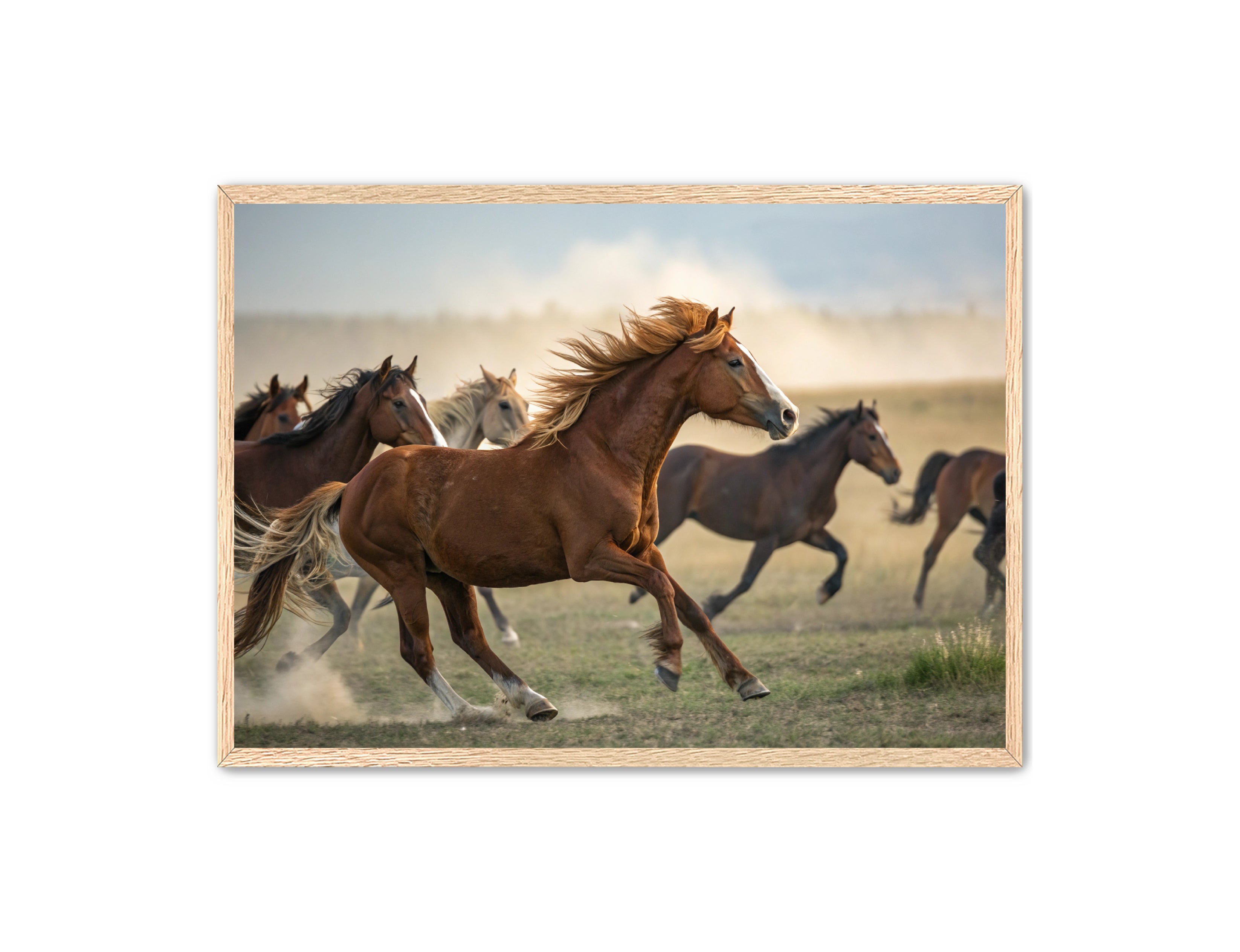 Apricus Prints Vaquero 'Stampede Leader' Apricus Art Collection