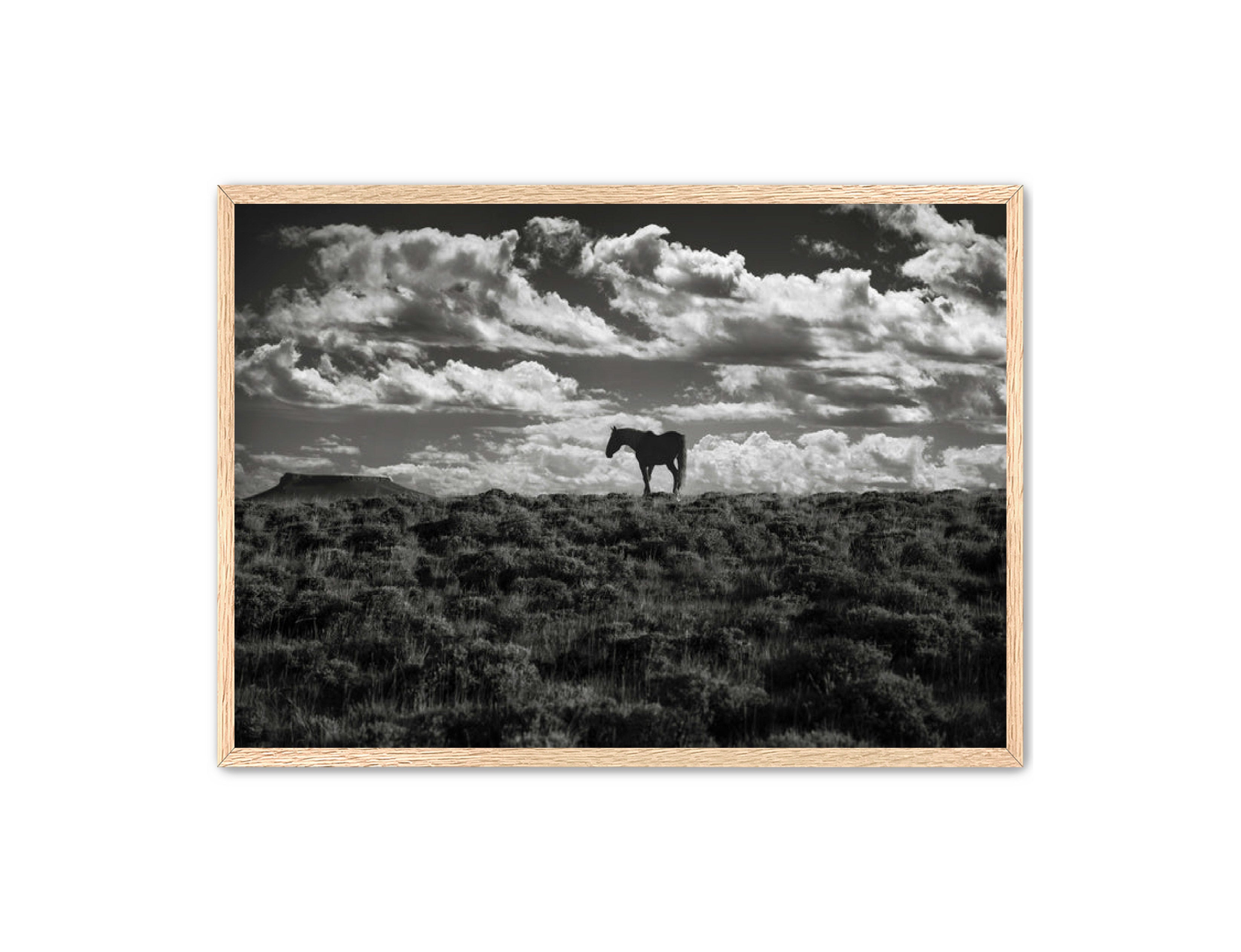 Photography Prints 'Open Range' Reed Decker