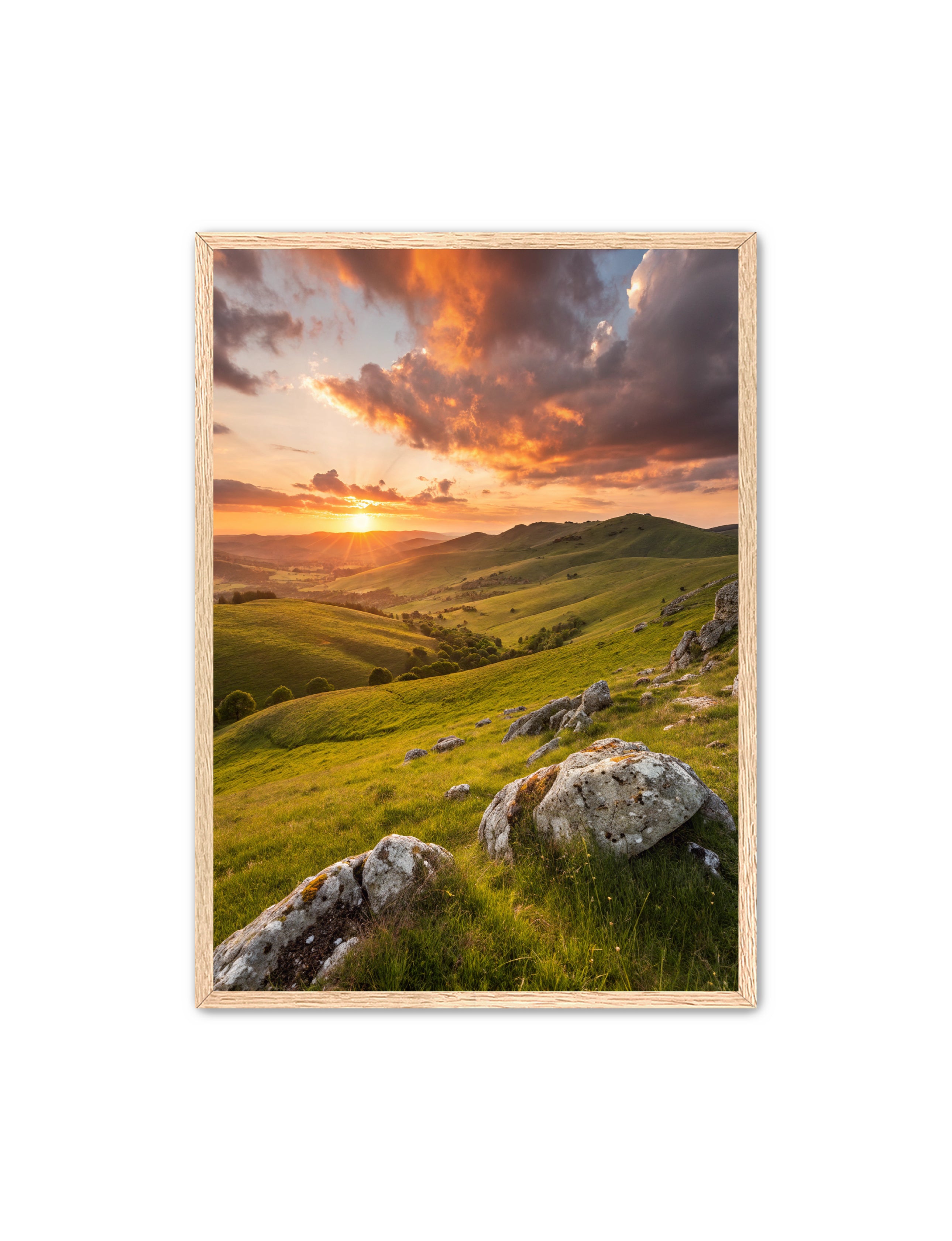 Apricus Prints 'Highland Glow' Apricus Art Collection