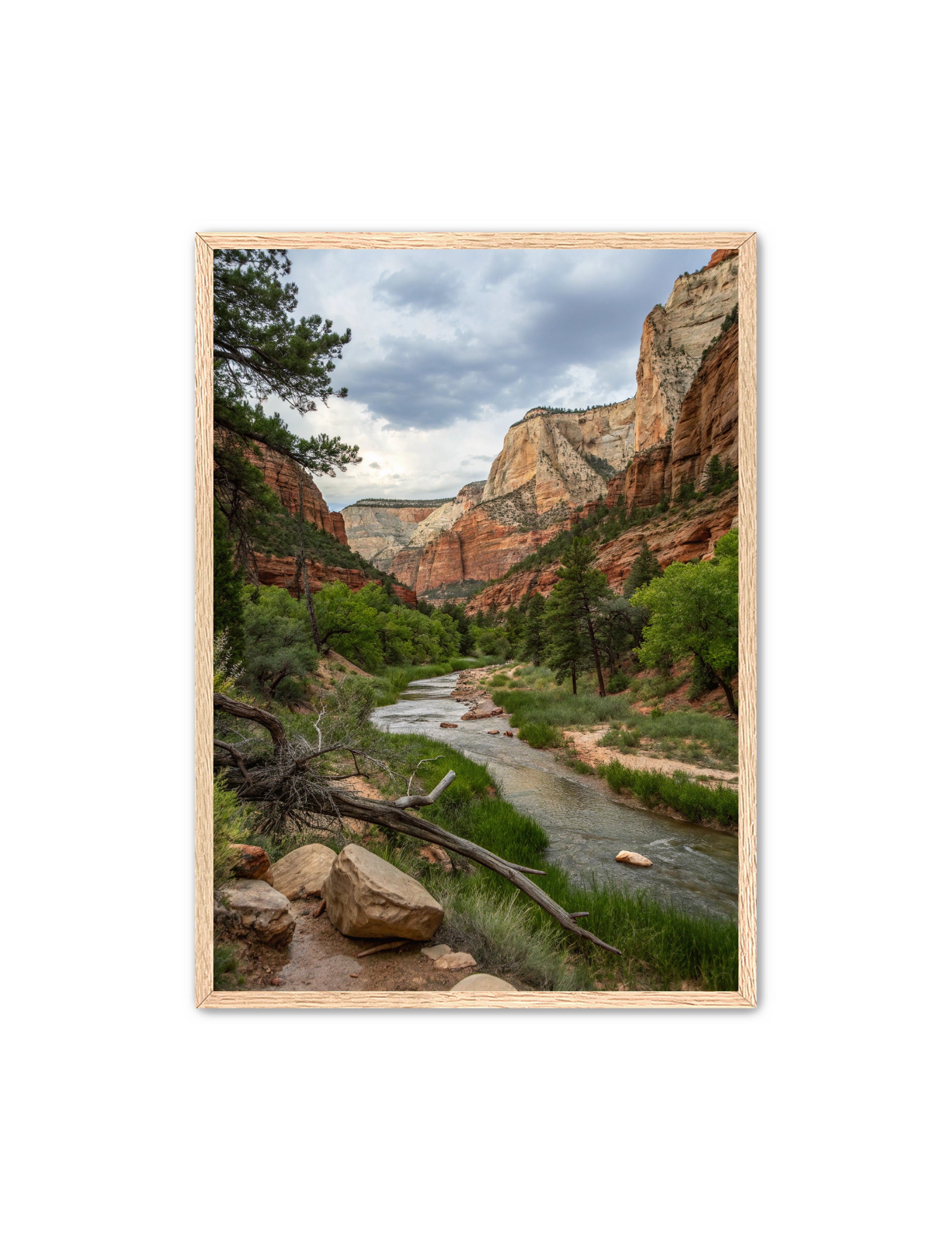 Apricus Prints Vaquero 'Sitting Duck' Apricus Art Collection