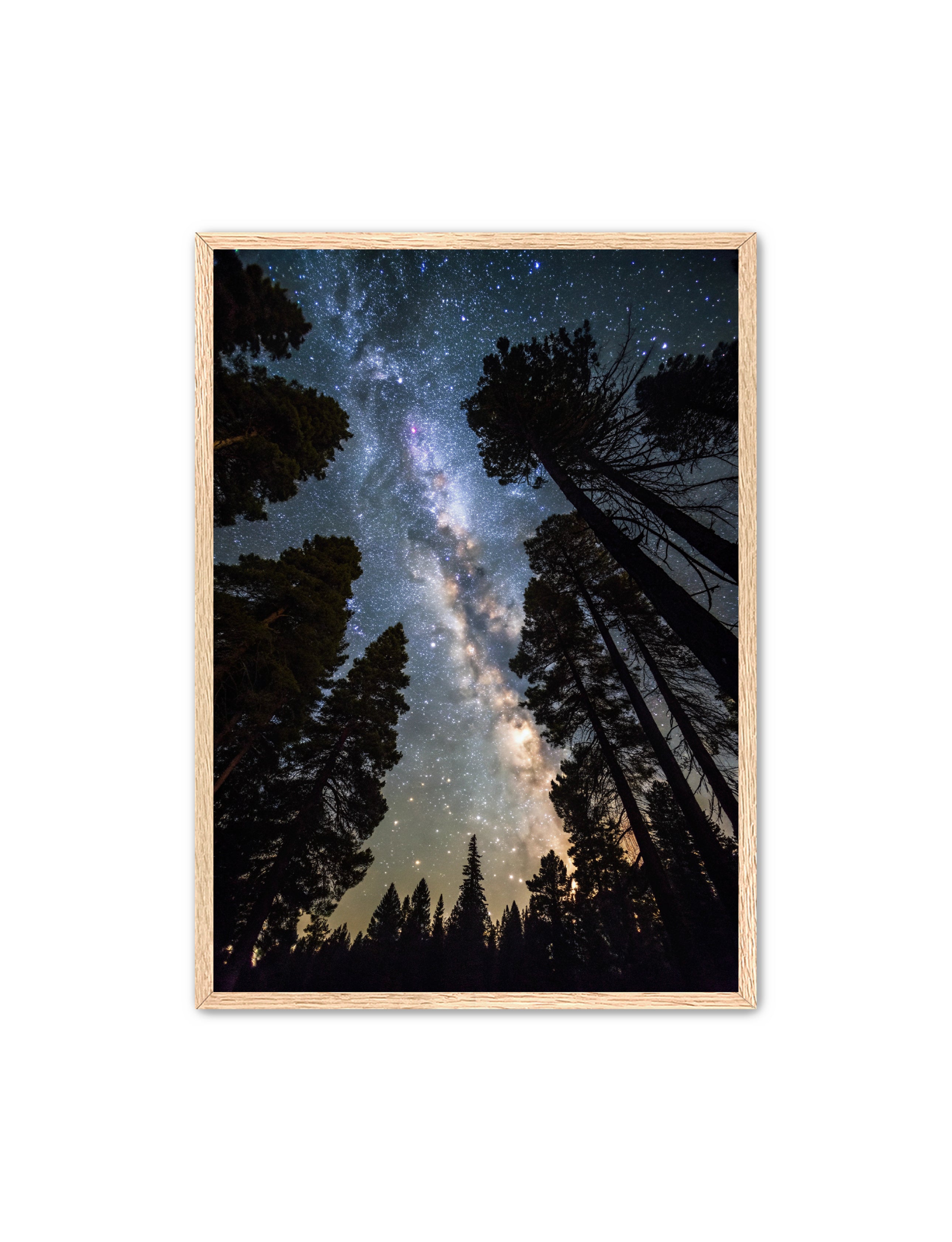 Apricus Prints 'Canopy of Eternity' Apricus Art Collection