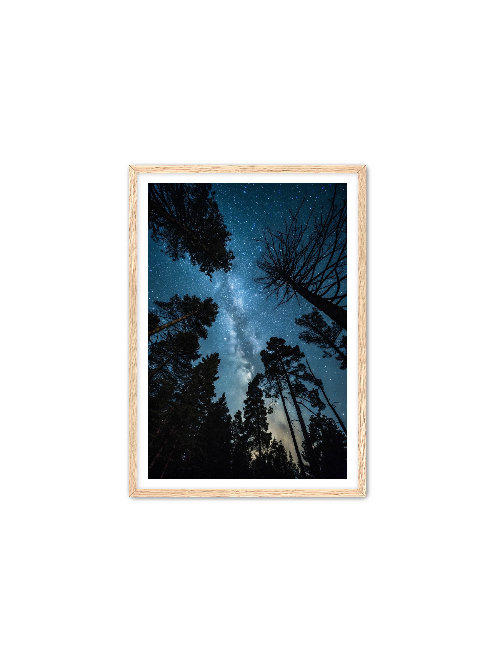 Apricus Prints 'Peace Beneath The Canopy' Apricus Art Collection