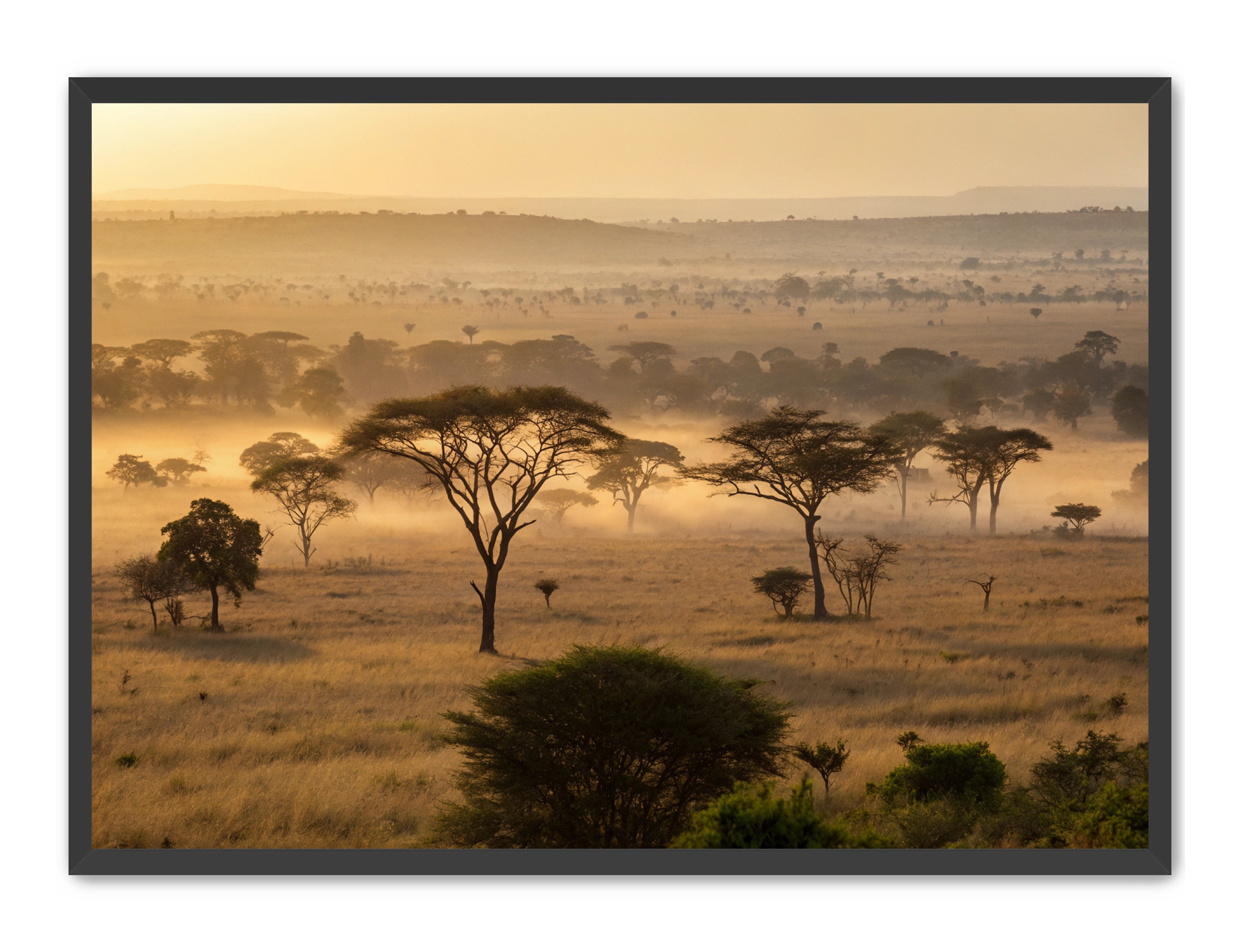 Apricus Prints 'Sunrise on the Serengeti' Apricus Art Collection