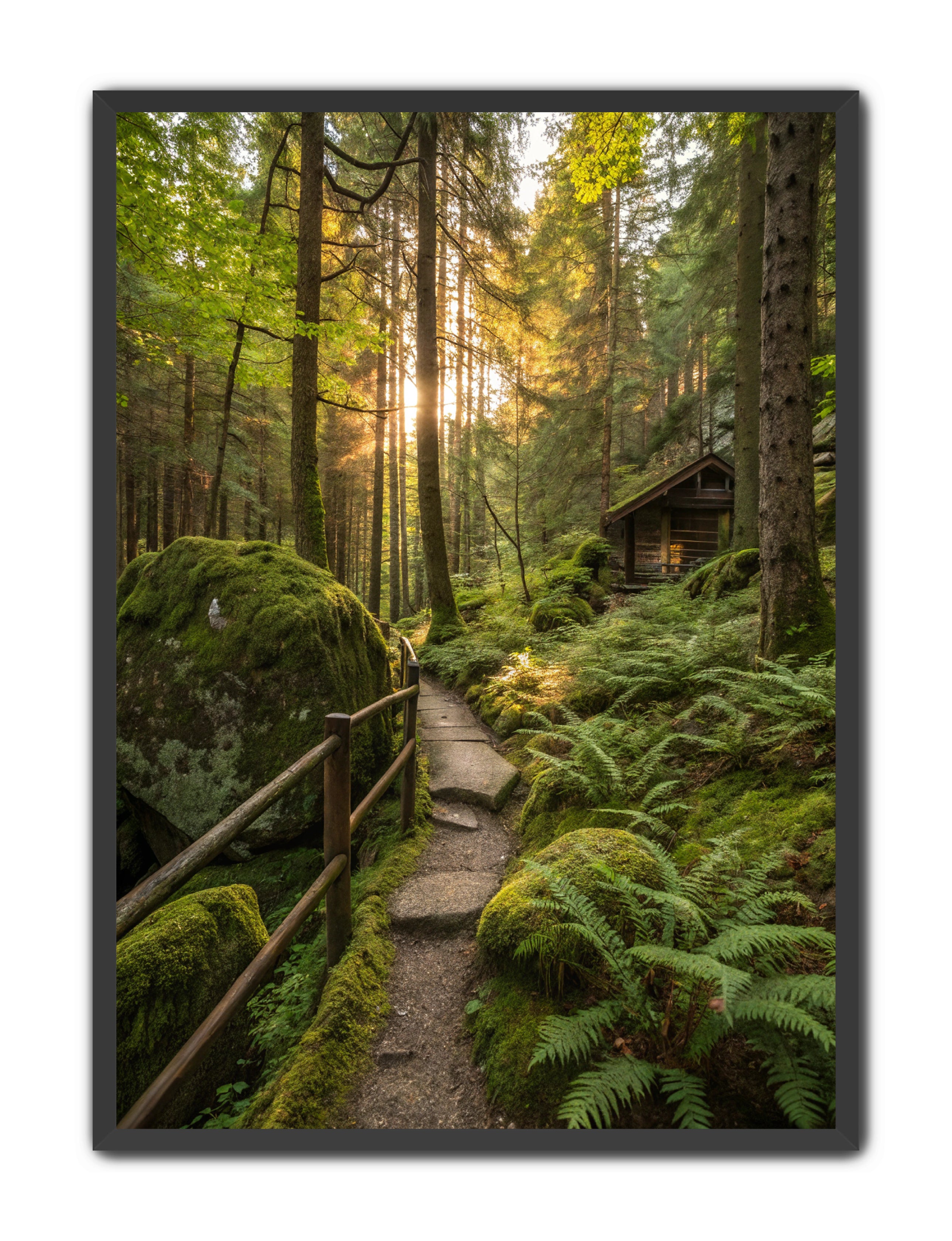 Apricus Prints 'Cabin of the Woods' Apricus Art Collection