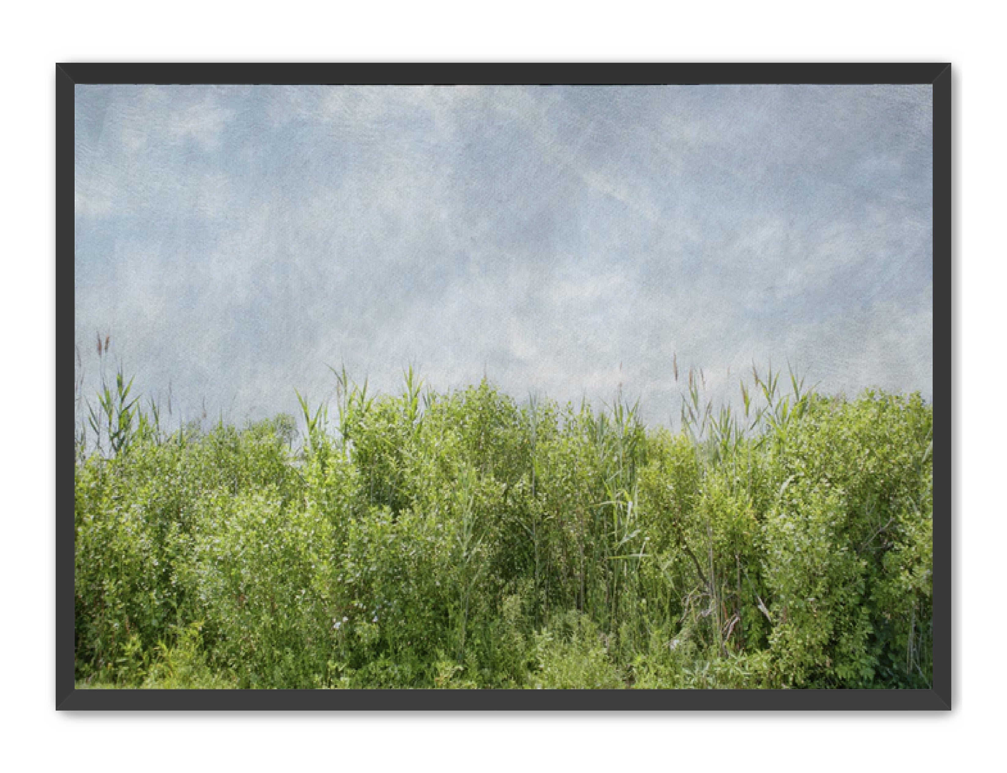 PhotoArt Prints 'BEACH BRIAR' Danielle Neumann Kelly