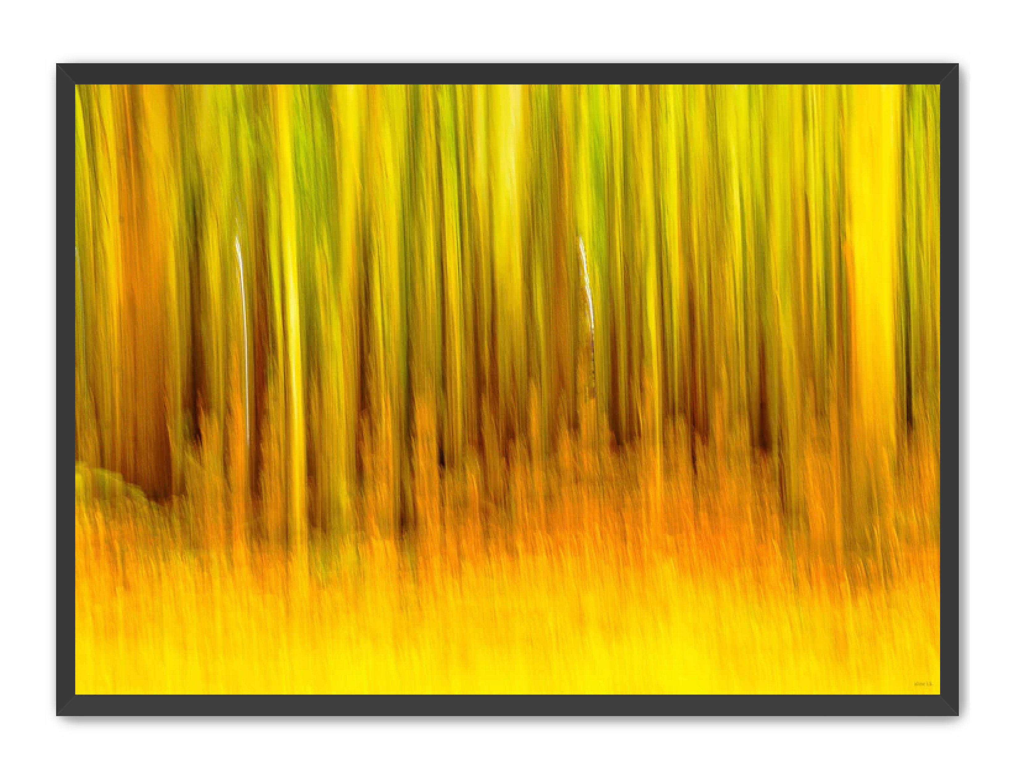 Abstract Photography Prints 'The forest' Aline Karagozlu