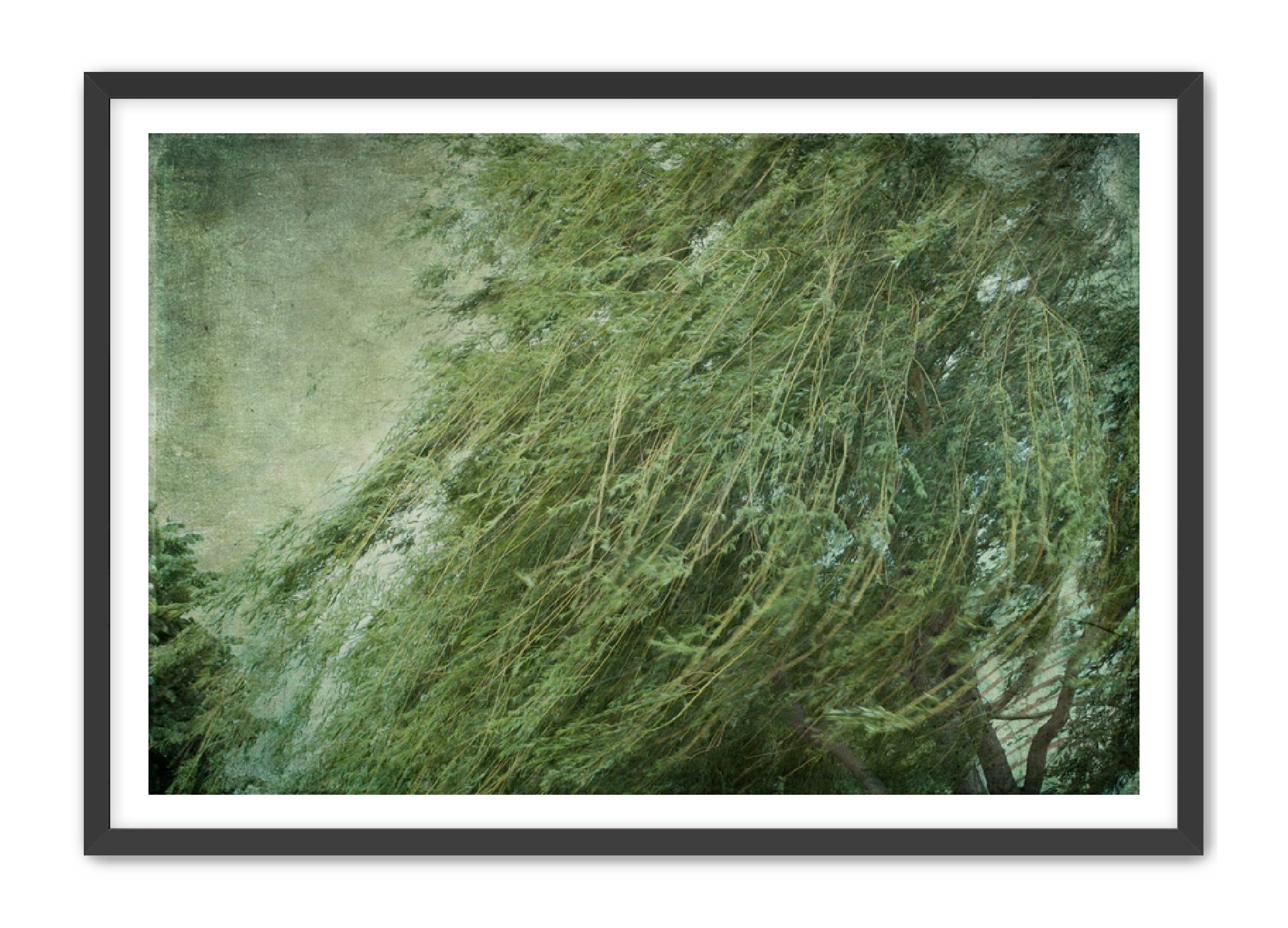 PhotoArt Prints 'TEXTURED TREES 2' Danielle Neumann Kelly