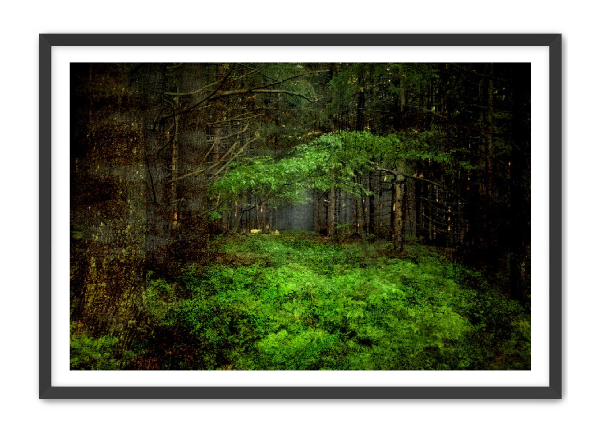 PhotoArt Prints 'TEXTURED TREES 3' Danielle Neumann Kelly