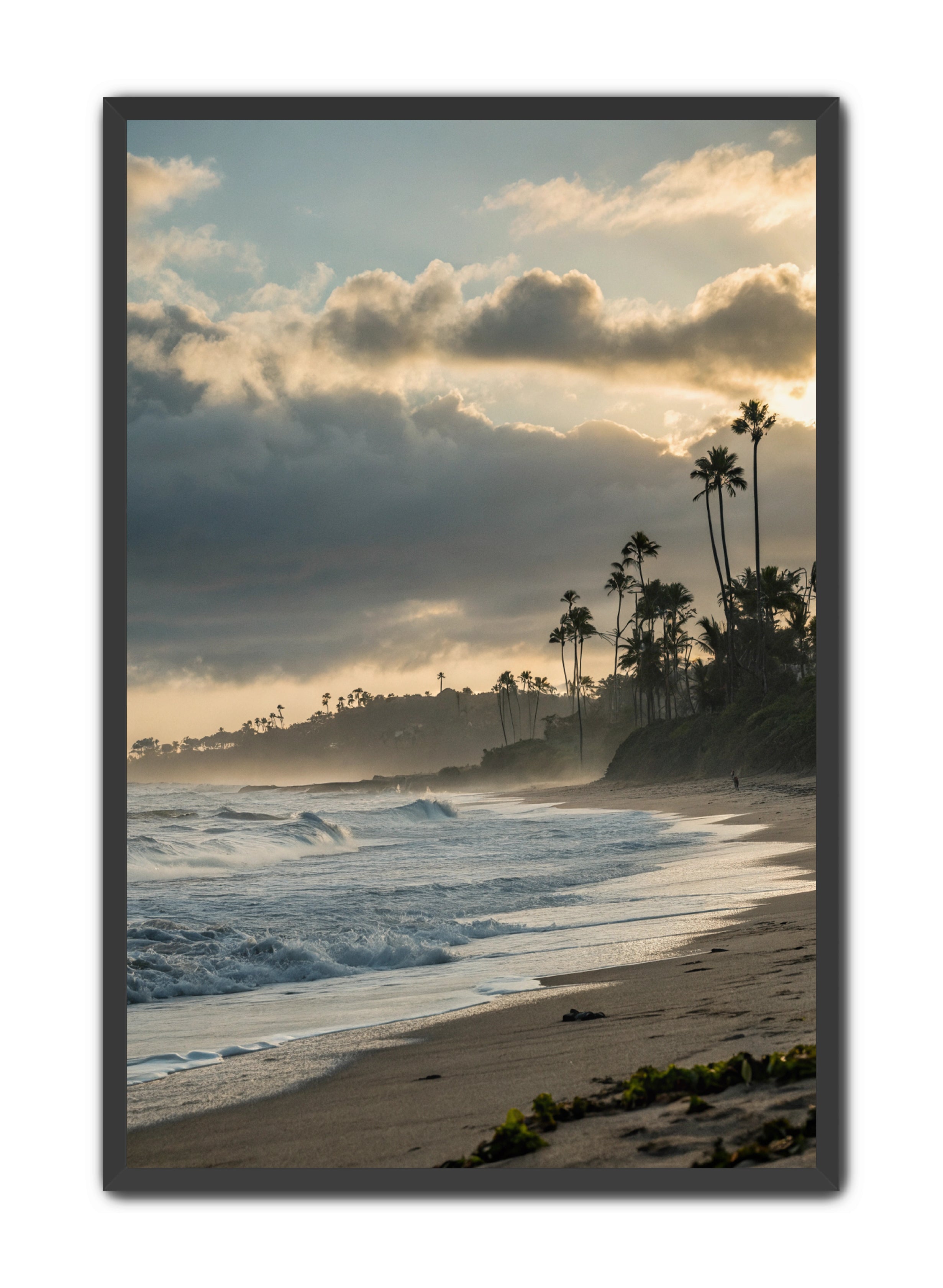 Apricus Prints Beaches 'Coastal Echoes' Apricus Art Collection