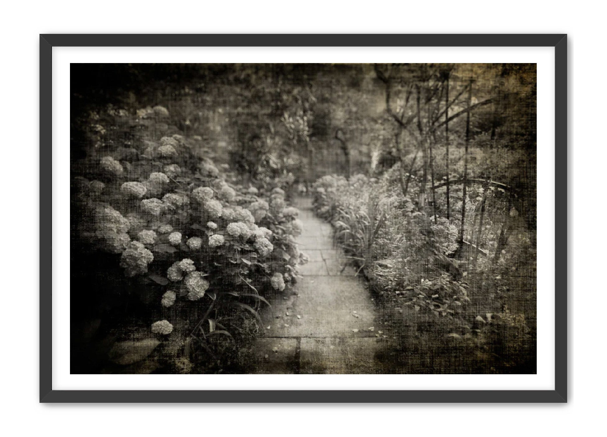 PhotoArt Prints 'PARK PATH 2' Danielle Neumann Kelly