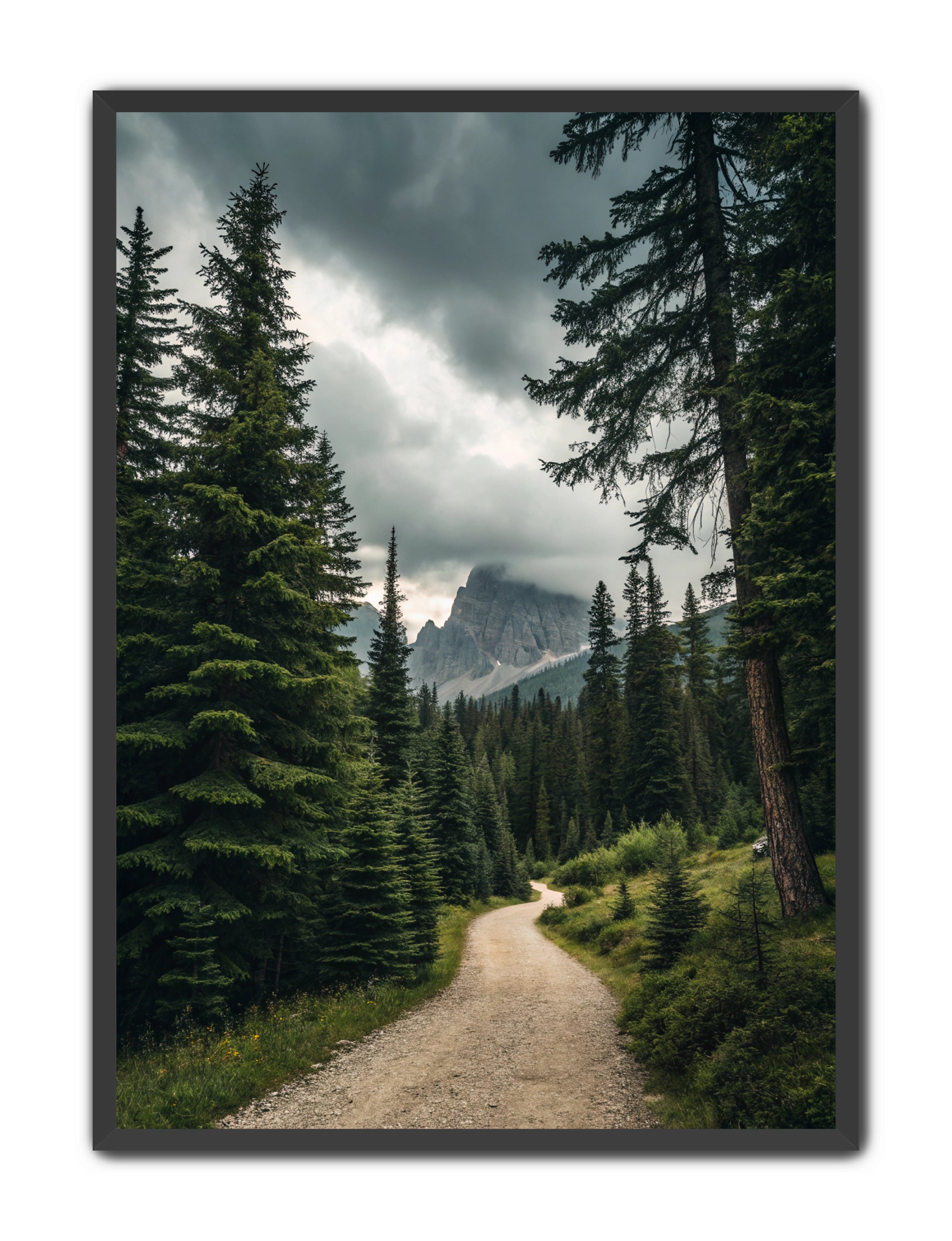 Apricus Prints 'Path to the Peaks' Apricus Art Collection