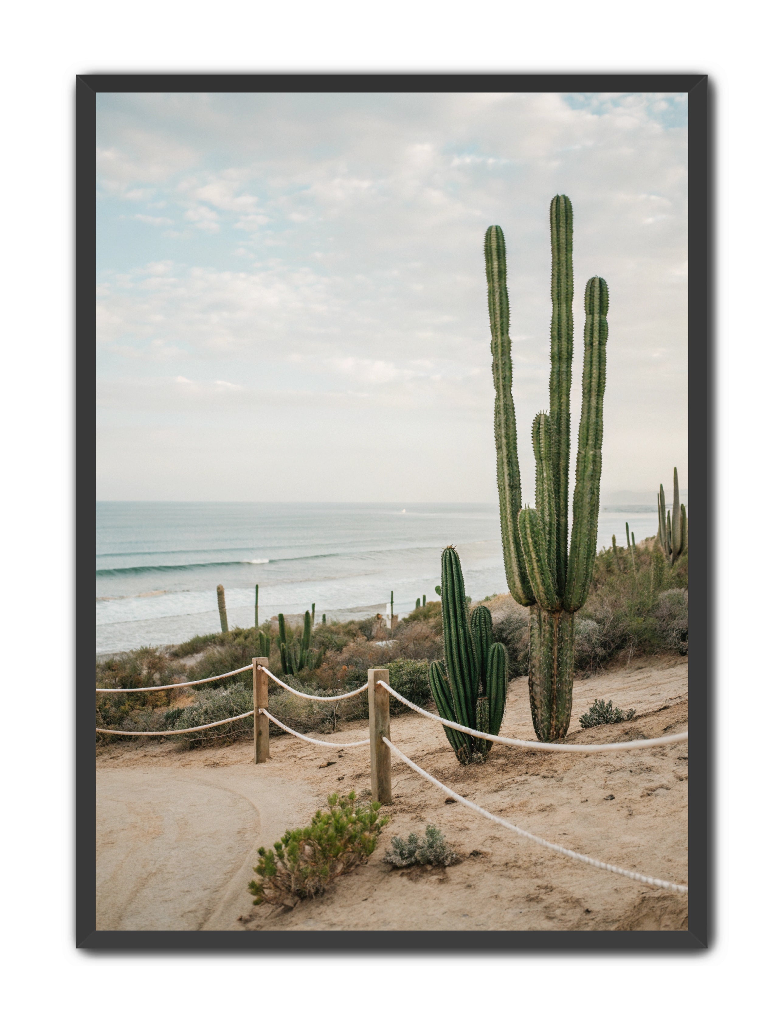 Apricus Prints Beaches 'SoCal' Apricus Art Collection