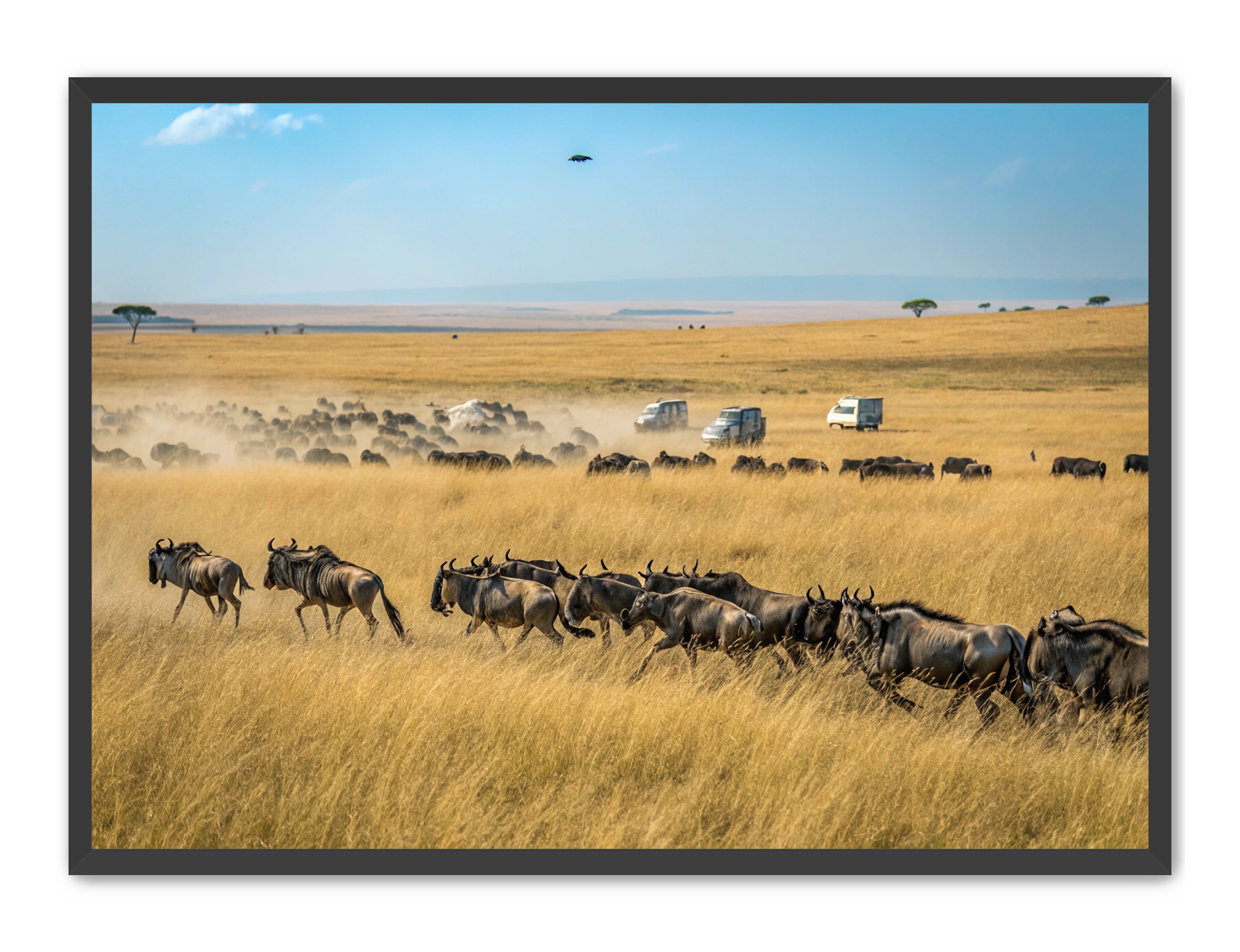 Apricus Prints 'Serengeti Stampede' Apricus Art Collection