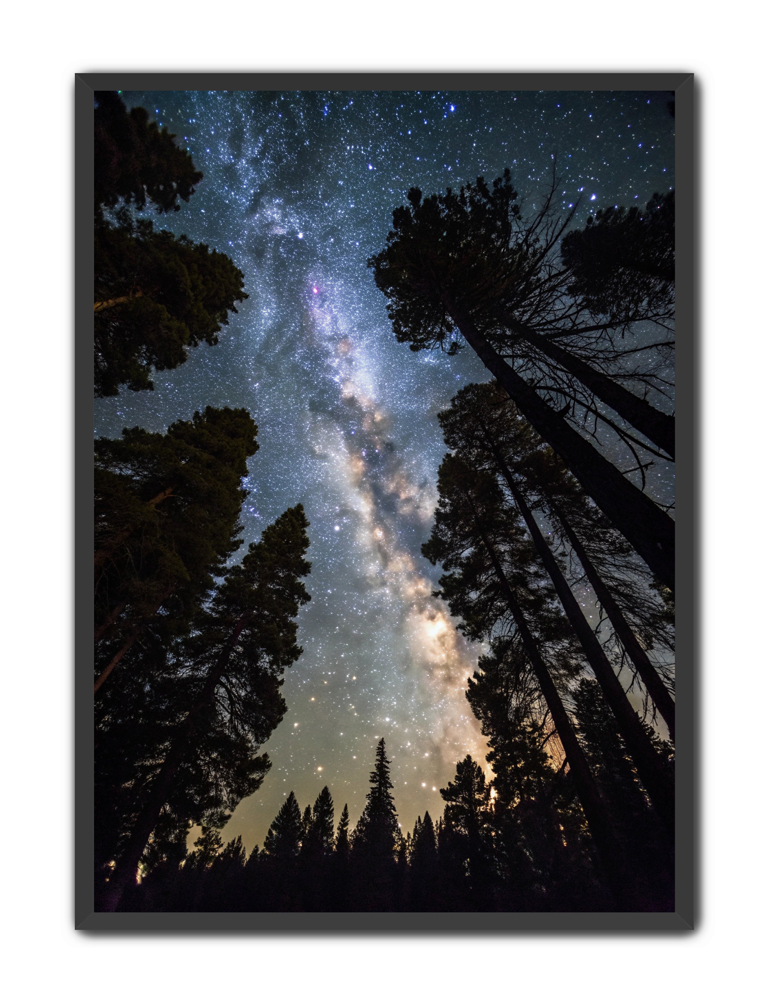 Apricus Prints 'Canopy of Eternity' Apricus Art Collection