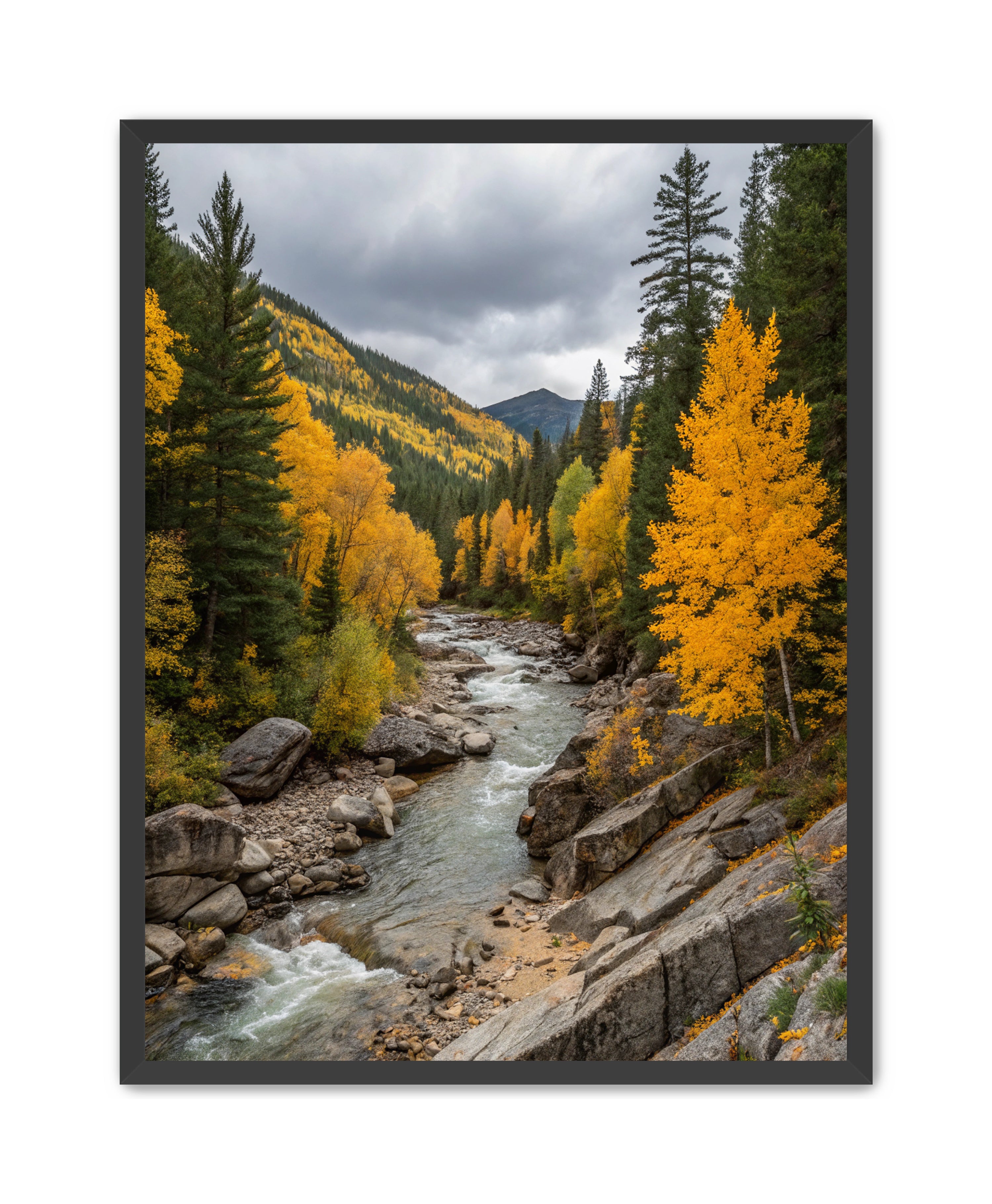 Apricus Prints 'River Red' Apricus Art Collection