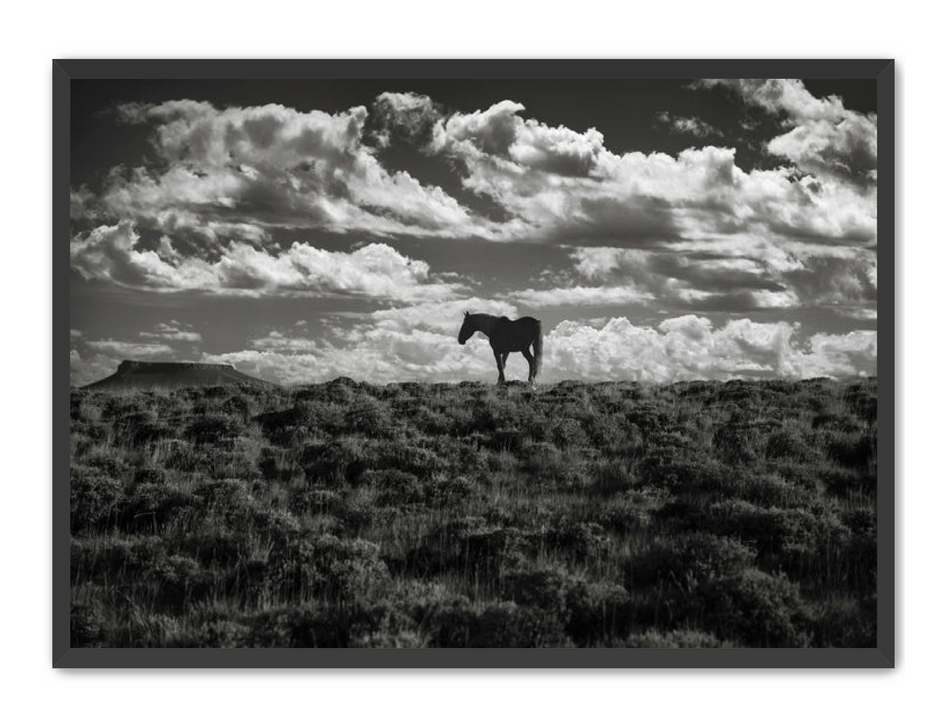 Photography Prints 'Open Range' Reed Decker