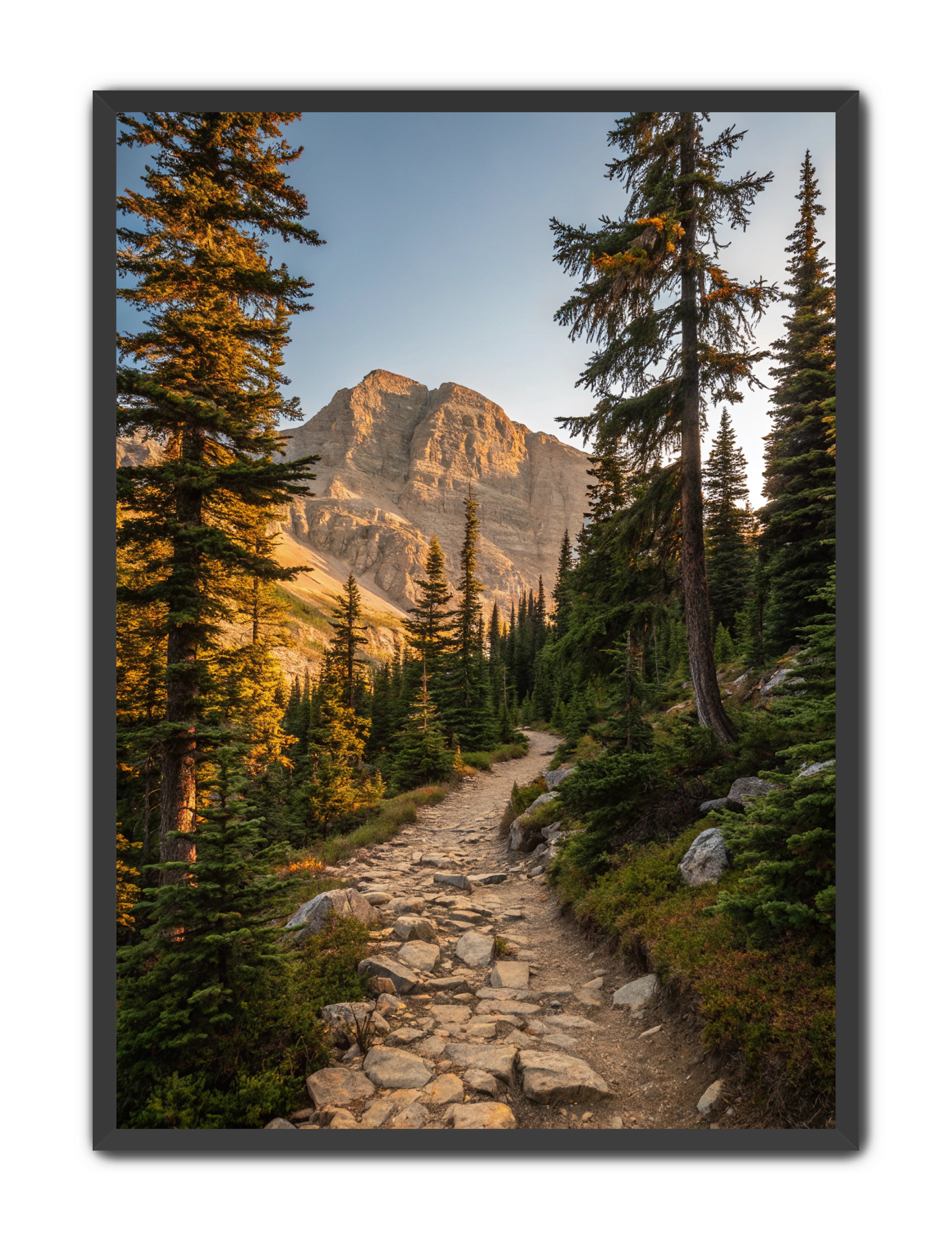 Apricus Prints 'Rocky Mountain Way' Apricus Art Collection