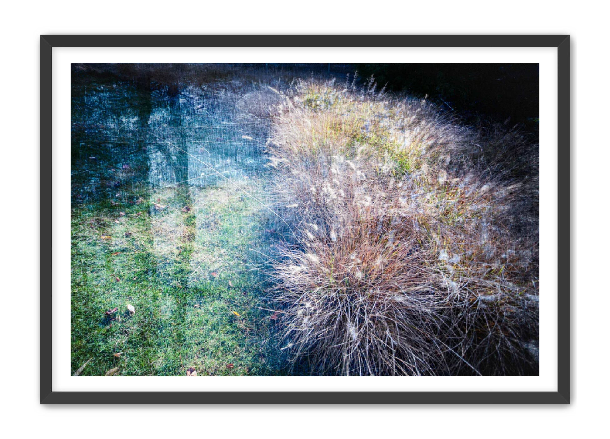 PhotoArt Prints 'GRASSES' Danielle Neumann Kelly