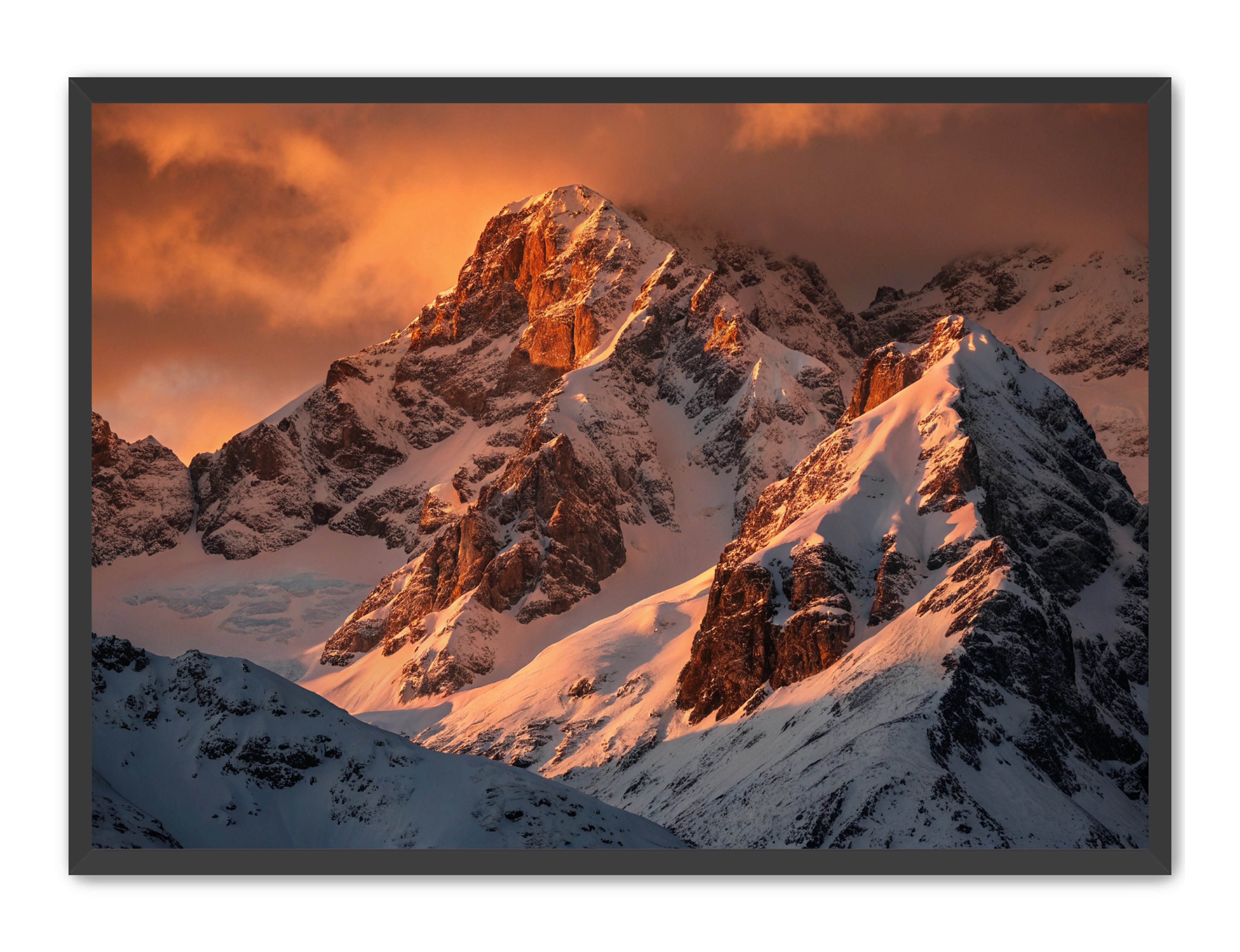 Apricus Prints 'Crimson Crown of the Himalayas' Apricus Art Collection