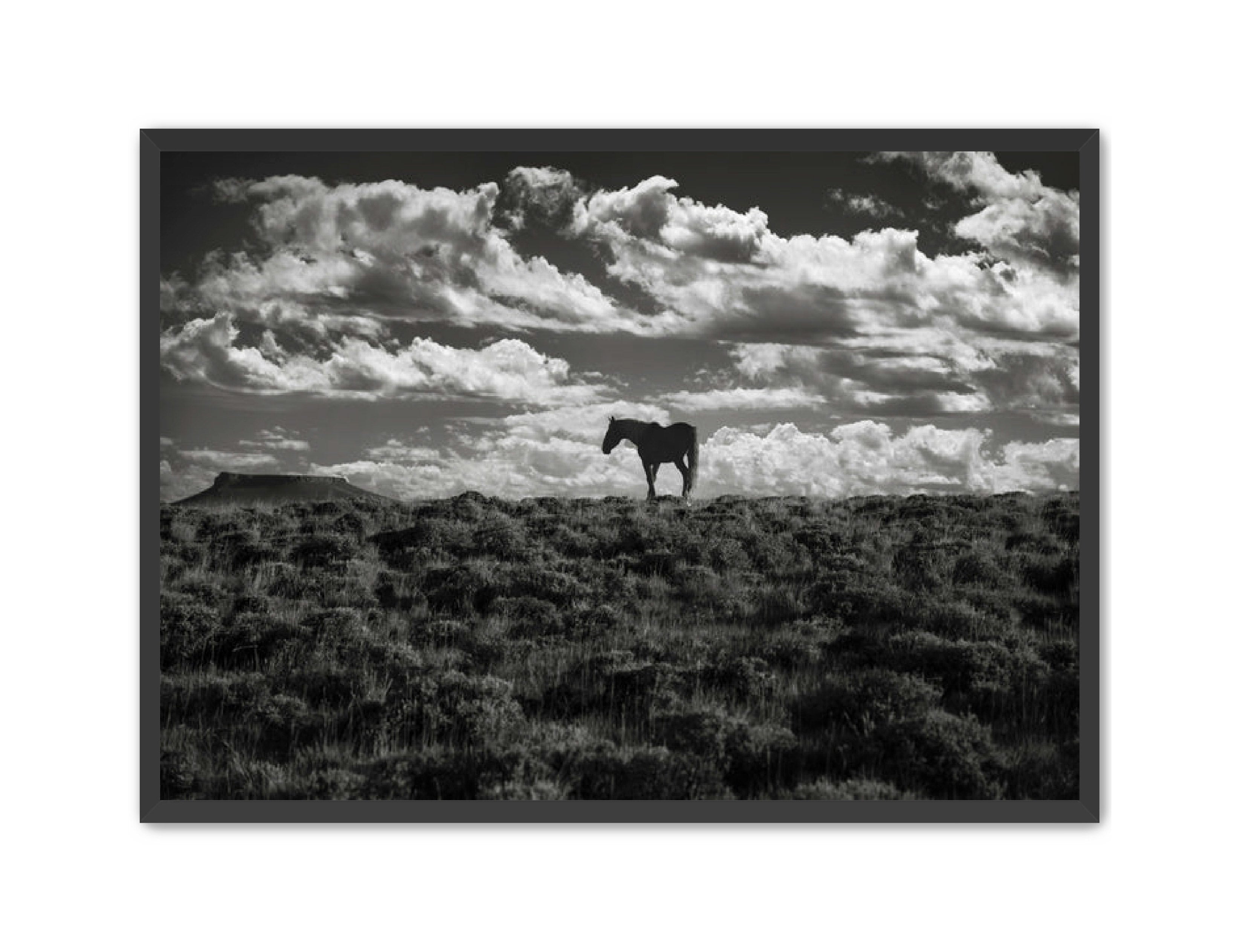 Photography Prints 'Open Range' Reed Decker