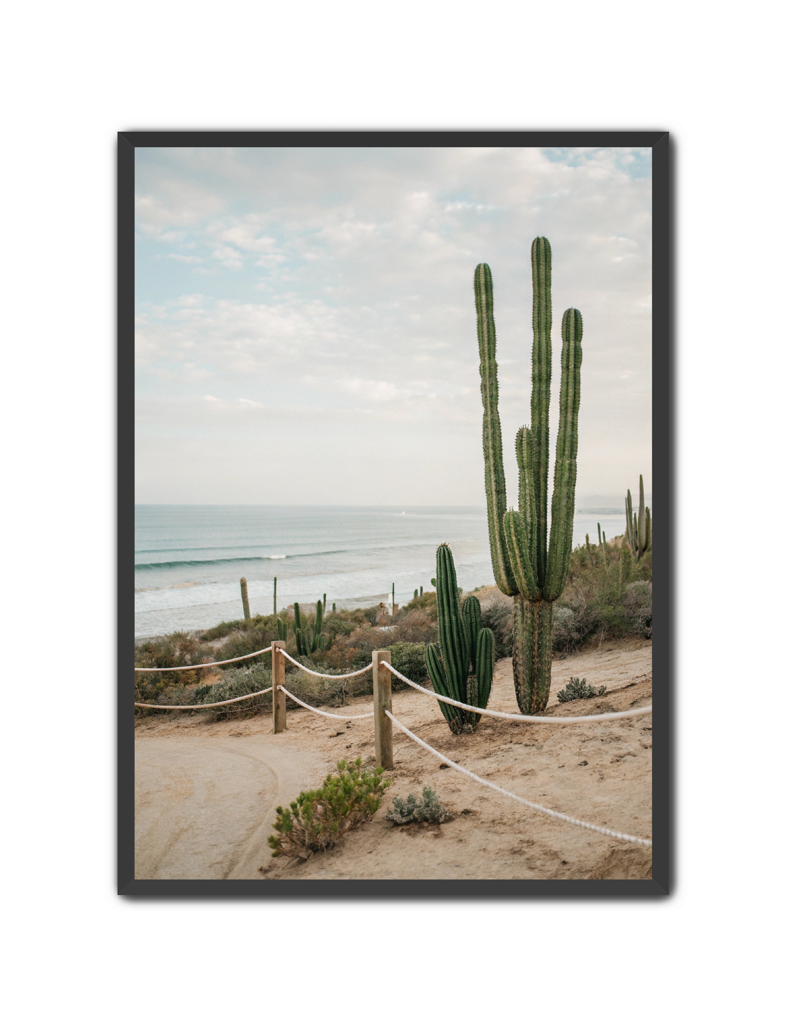 Apricus Prints Beaches 'SoCal' Apricus Art Collection