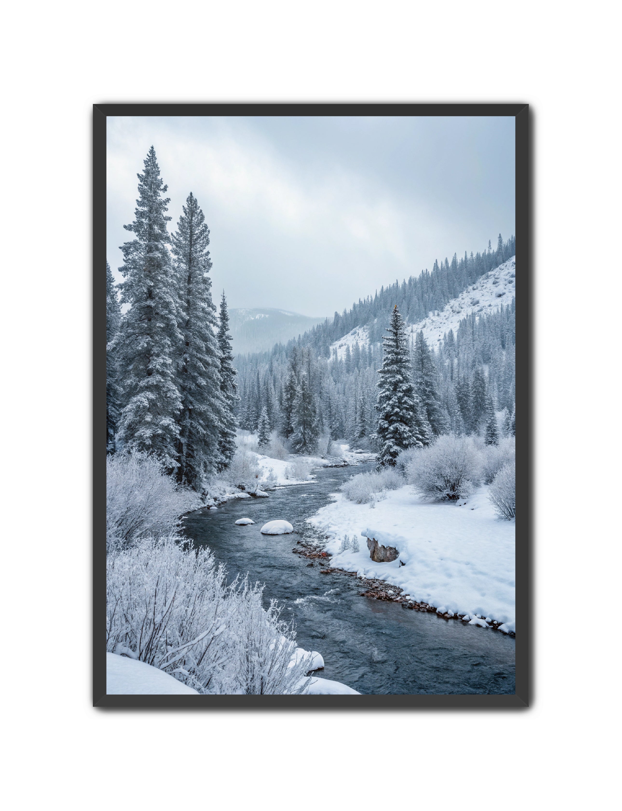 Apricus Prints 'Frozen Flow' Apricus Art Collection