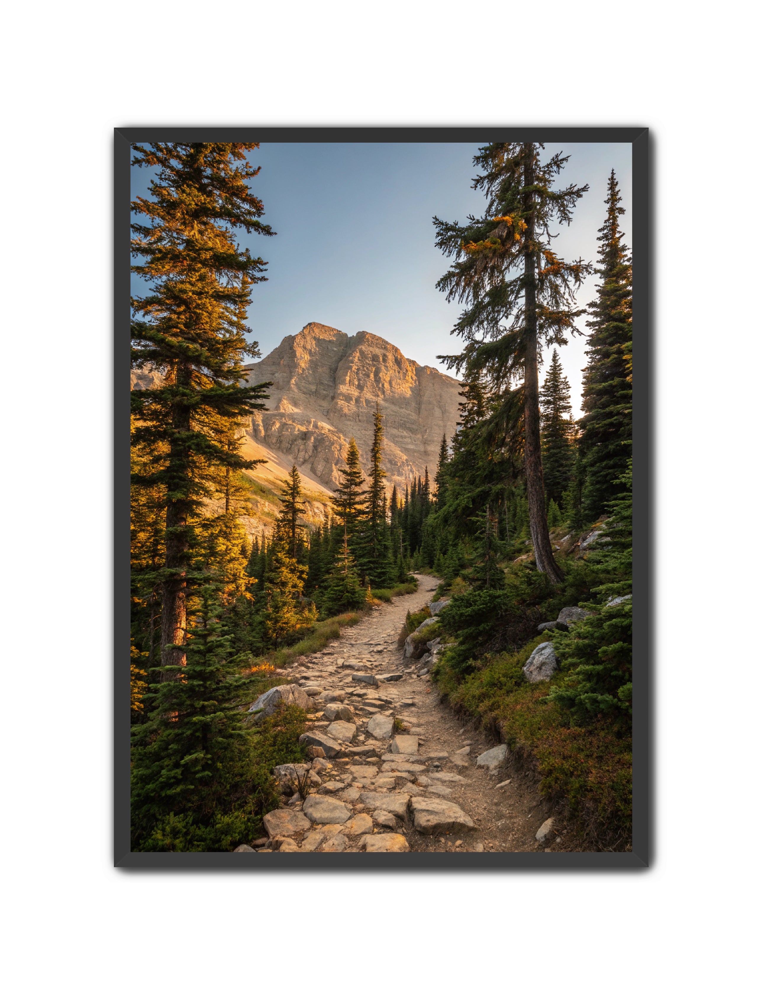 Apricus Prints 'Rocky Mountain Way' Apricus Art Collection