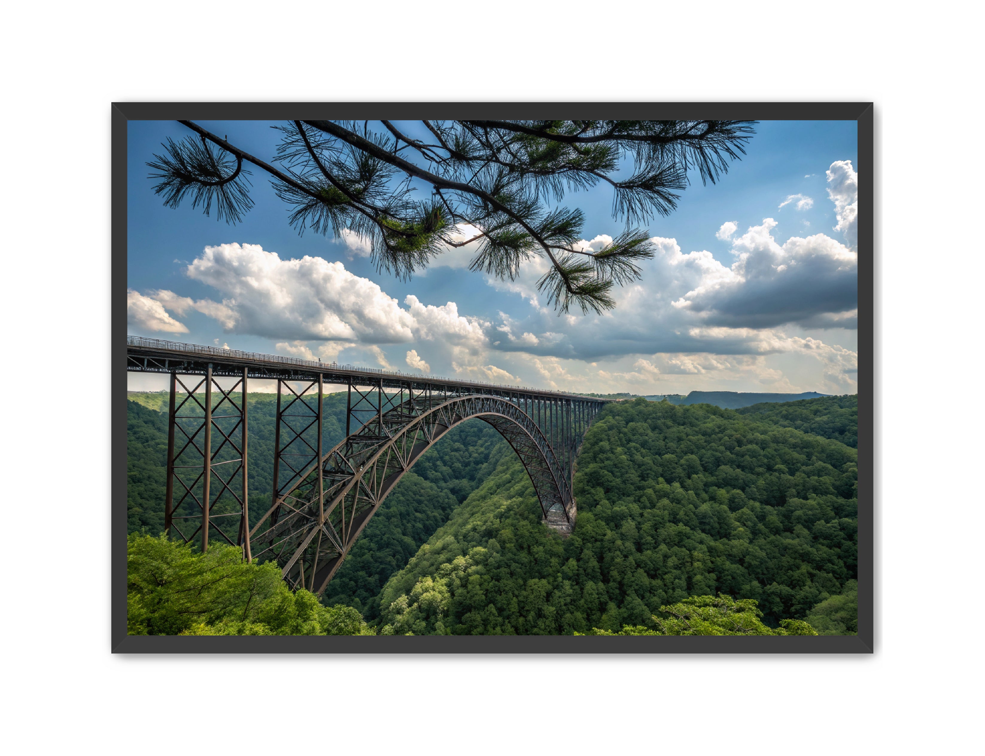 Apricus Prints 'Wild & Wonderful, West Virginia' Apricus Art Collection