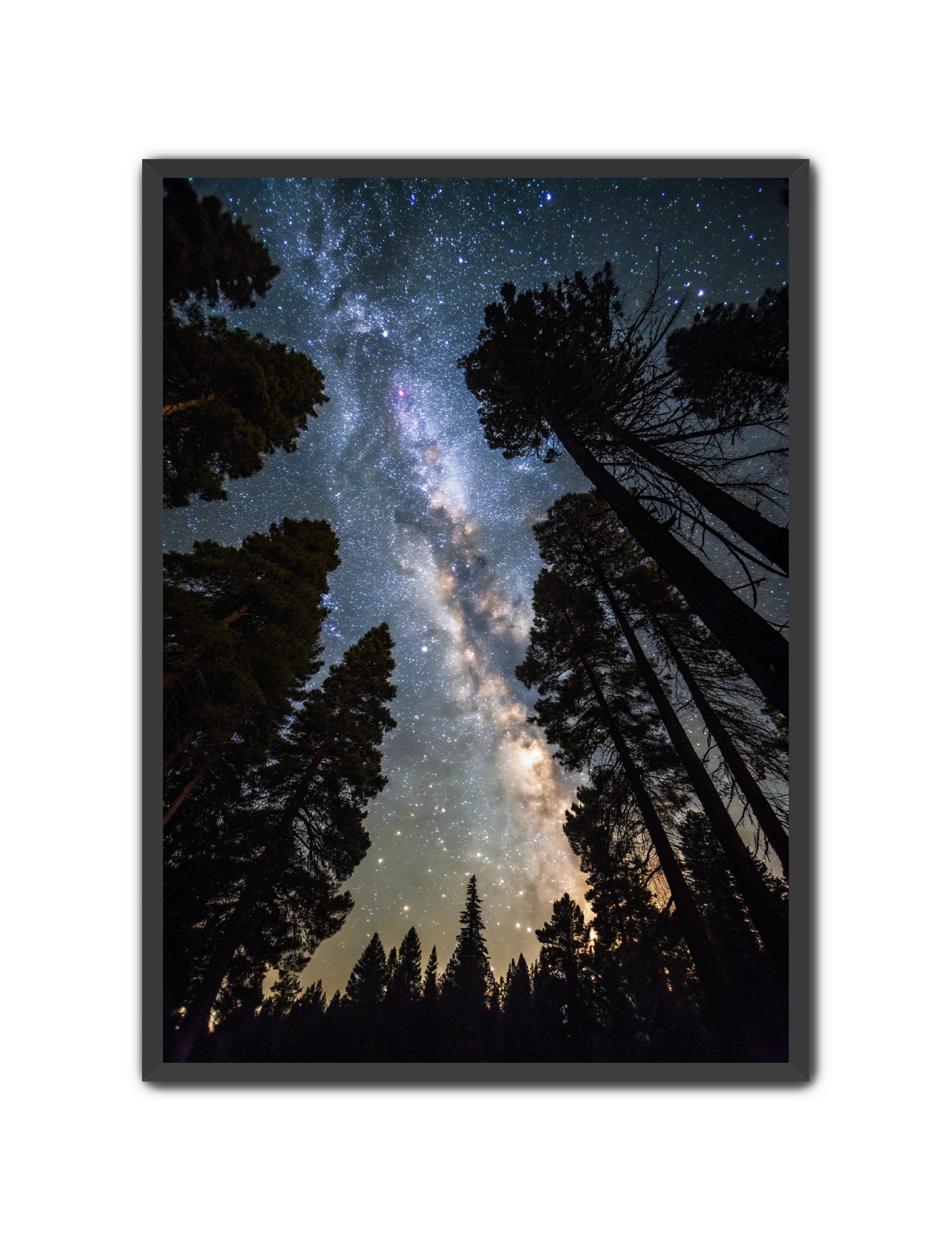 Apricus Prints 'Canopy of Eternity' Apricus Art Collection