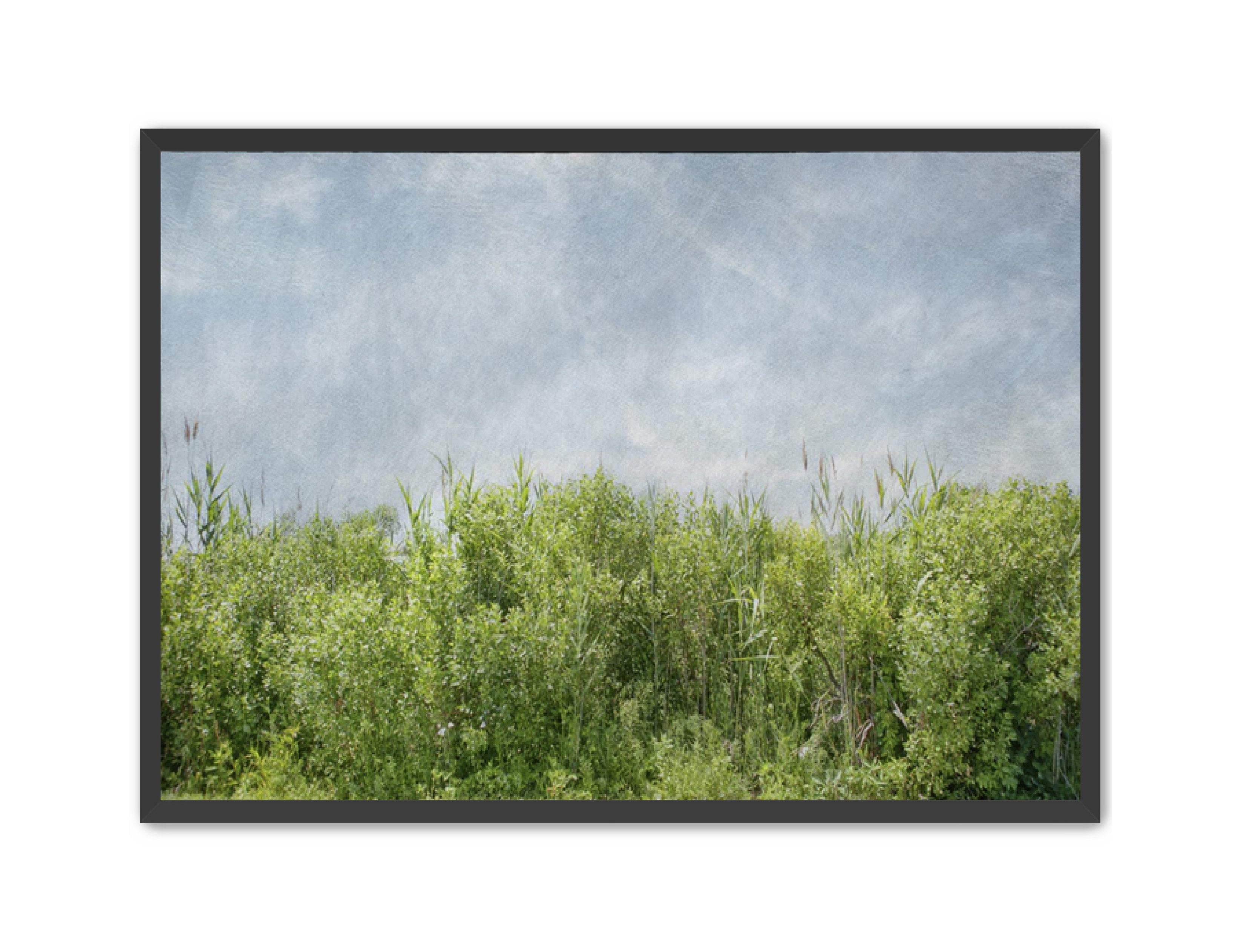 PhotoArt Prints 'BEACH BRIAR' Danielle Neumann Kelly